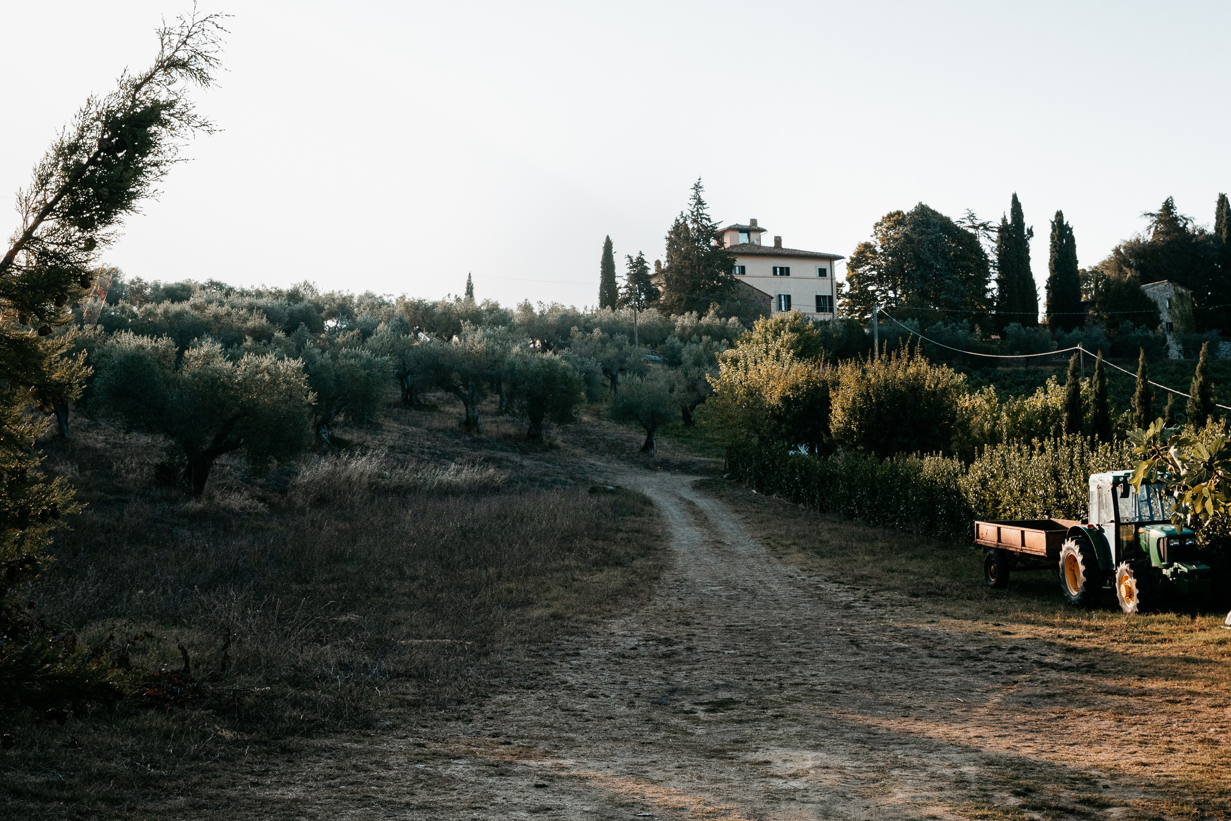 Eric and Varya. Wedding and family photographer Alex Glushakov
