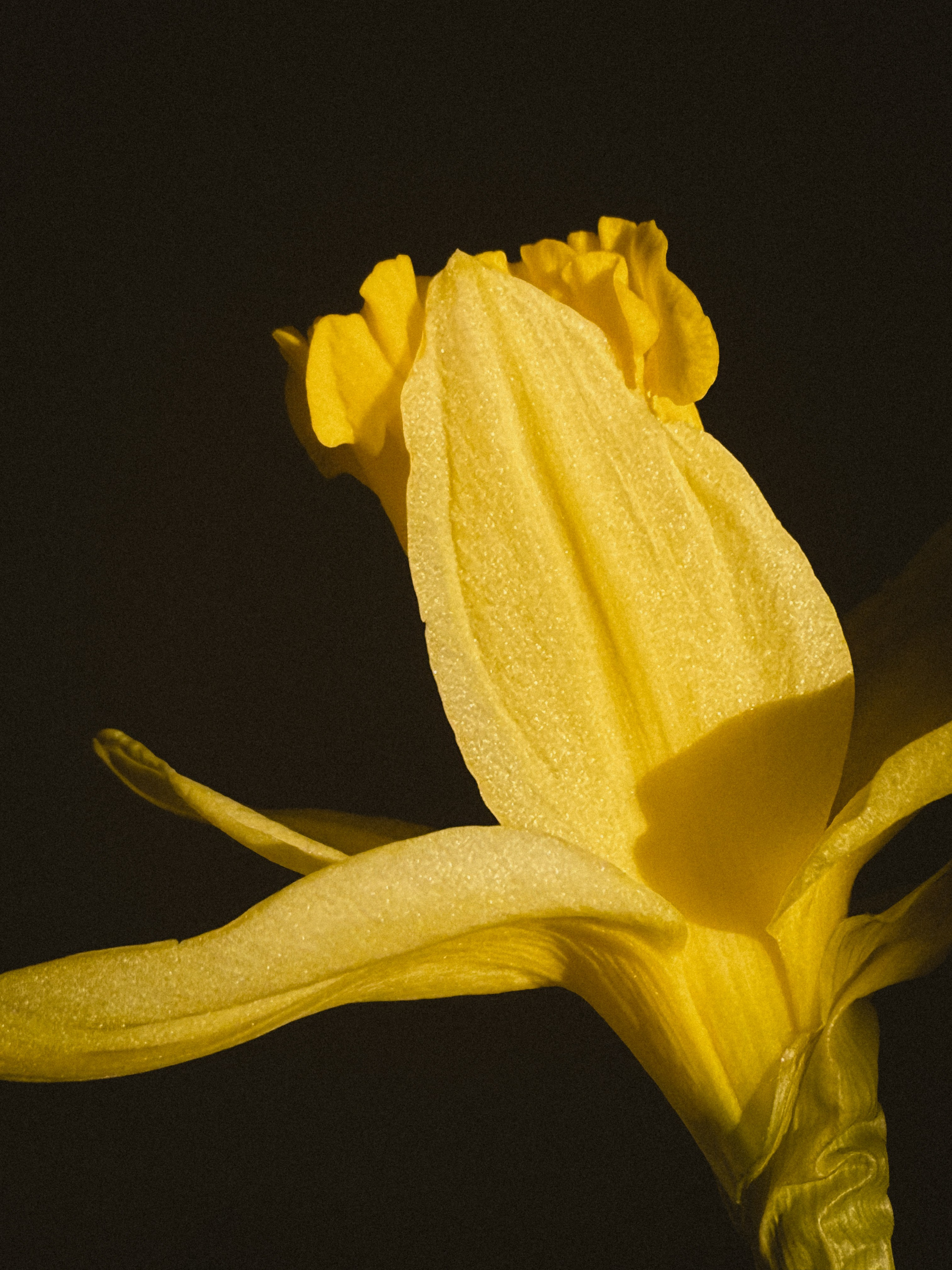 Мобильная съемка. Анастасия Еремина | Фотограф в Сербии | Персональные и бизнес-фотосессии в Белграде и Нови Саде