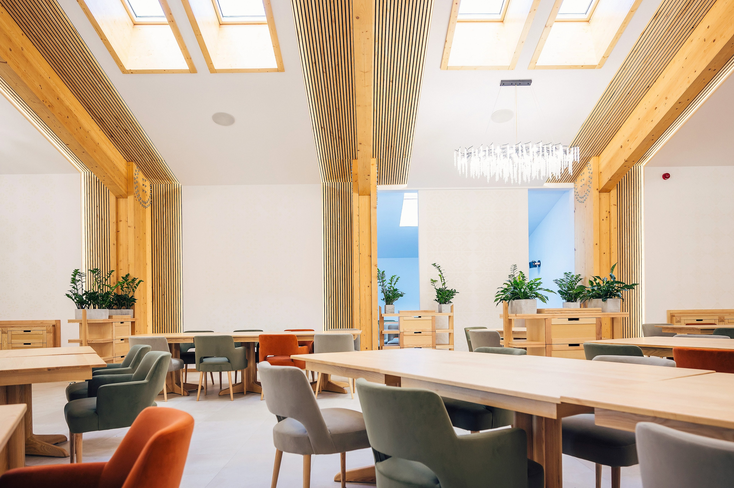 Pensiuni. George Boicu — Fotograf — Gura Humorului