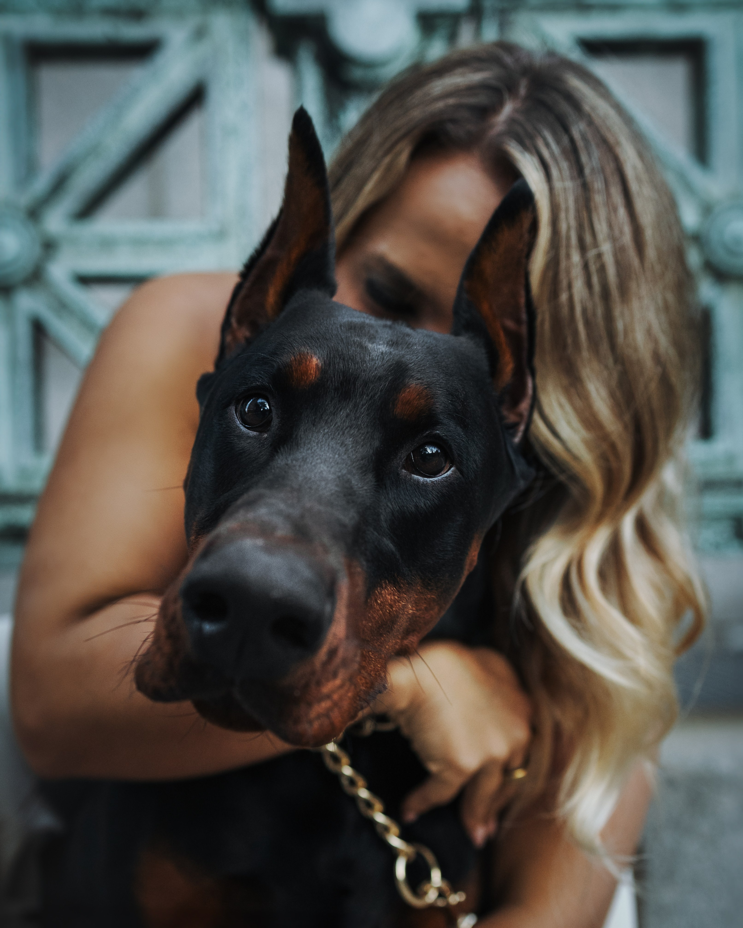 Enzo & Victoriya. Pet Photographer Viktoriya Aleshenko