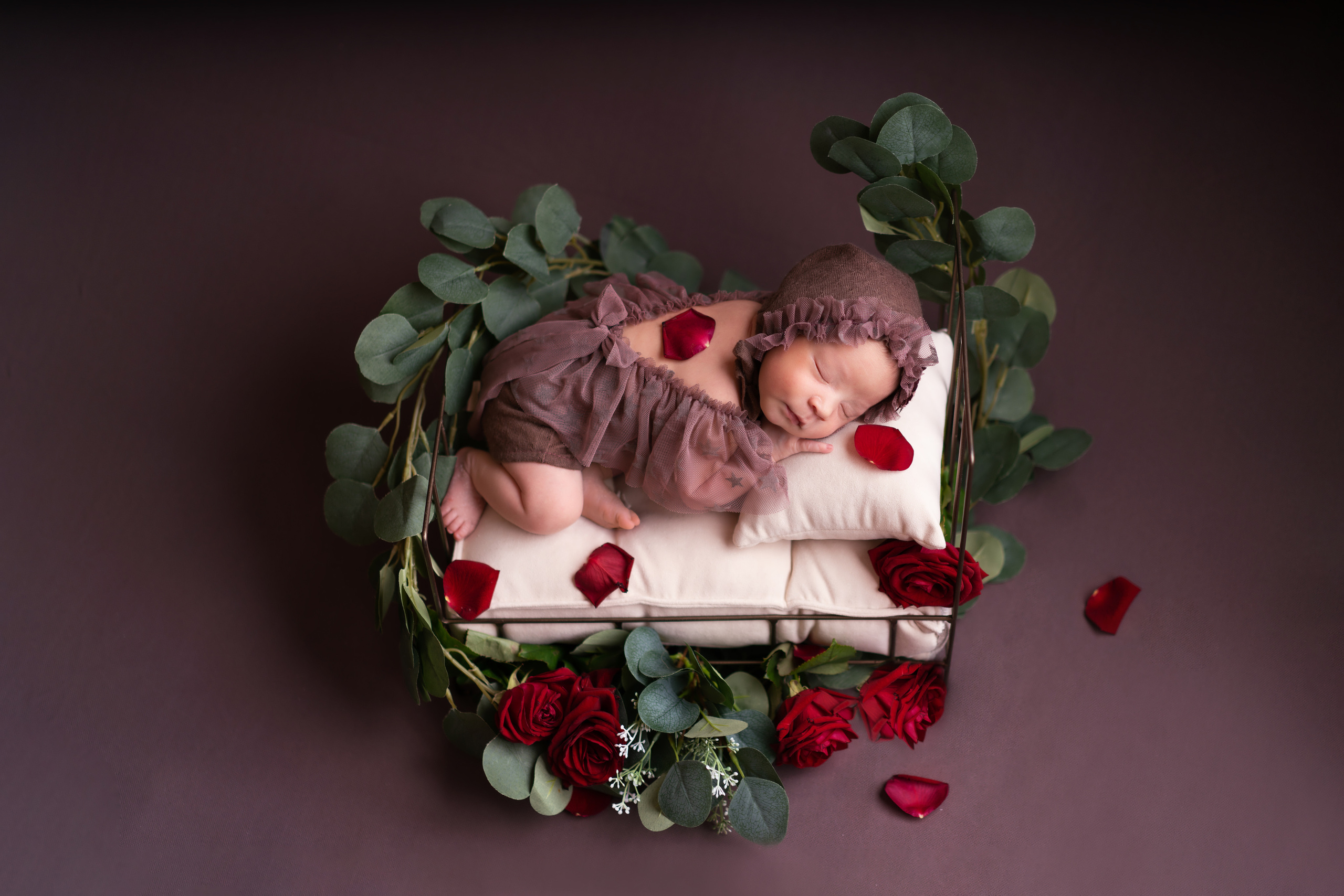 Пакет «Макси». Фотограф новорожденных Юлия Гаст