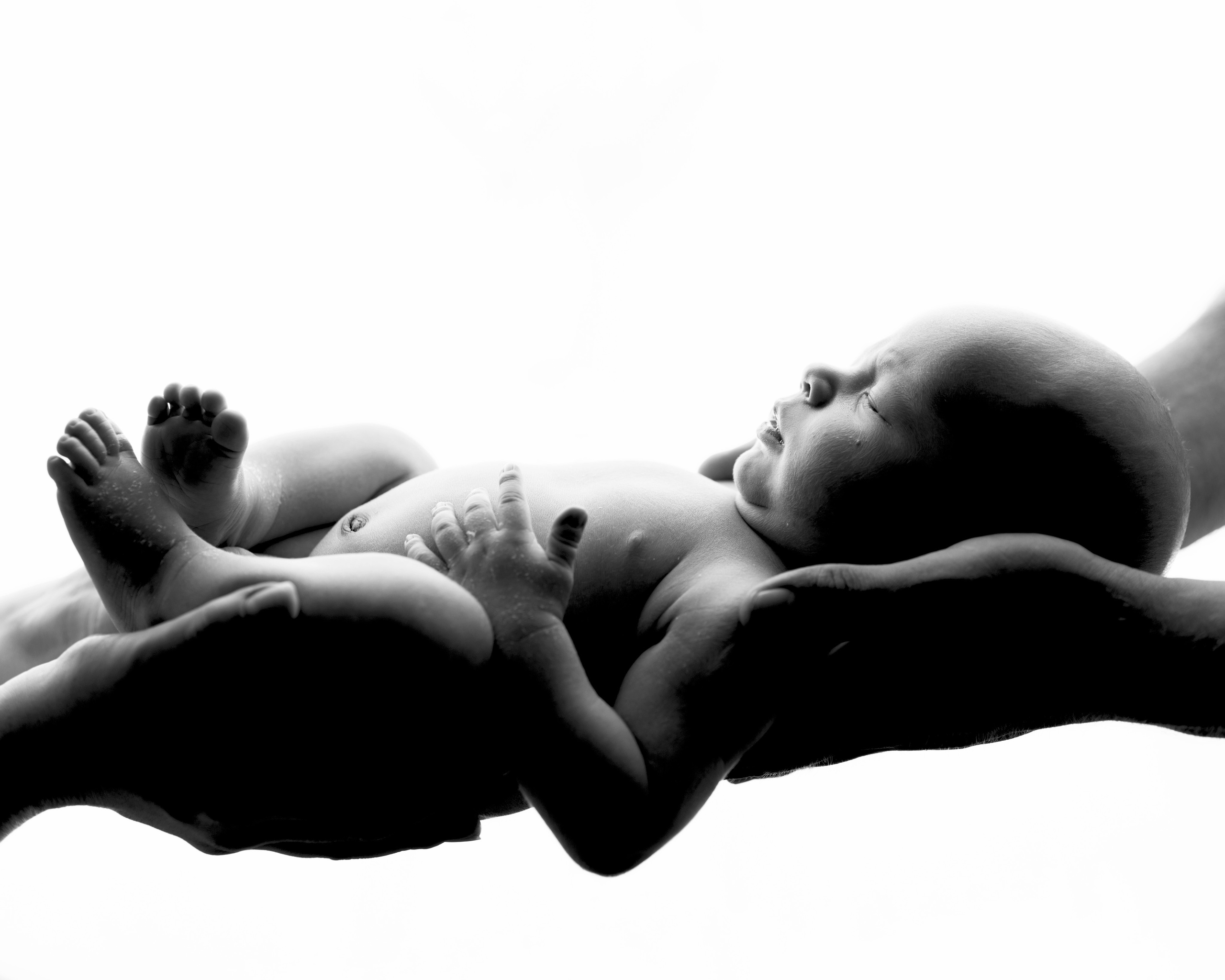 Пакет «Макси». Фотограф новорожденных Юлия Гаст