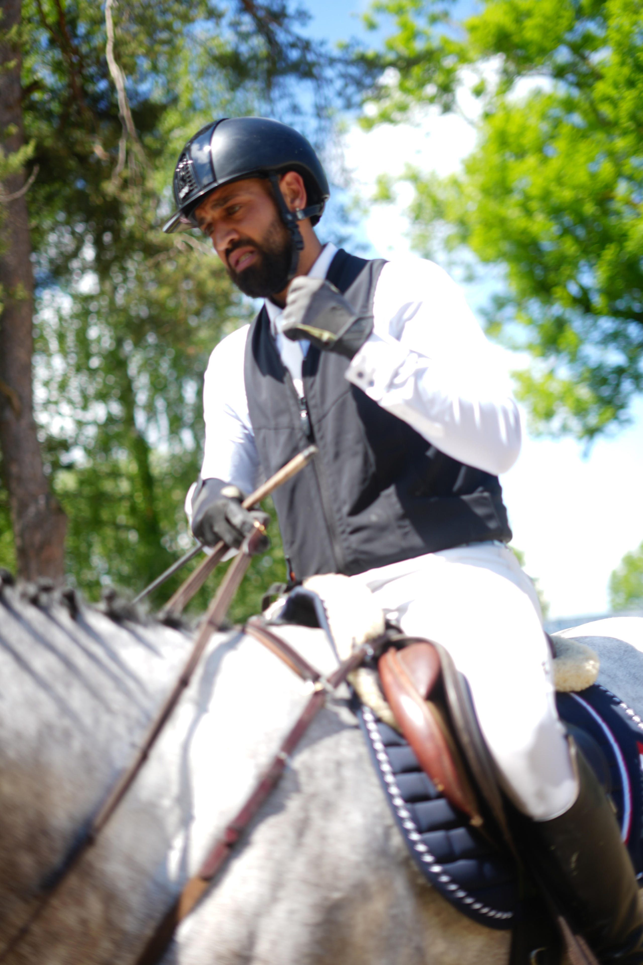 Equestrian Competition