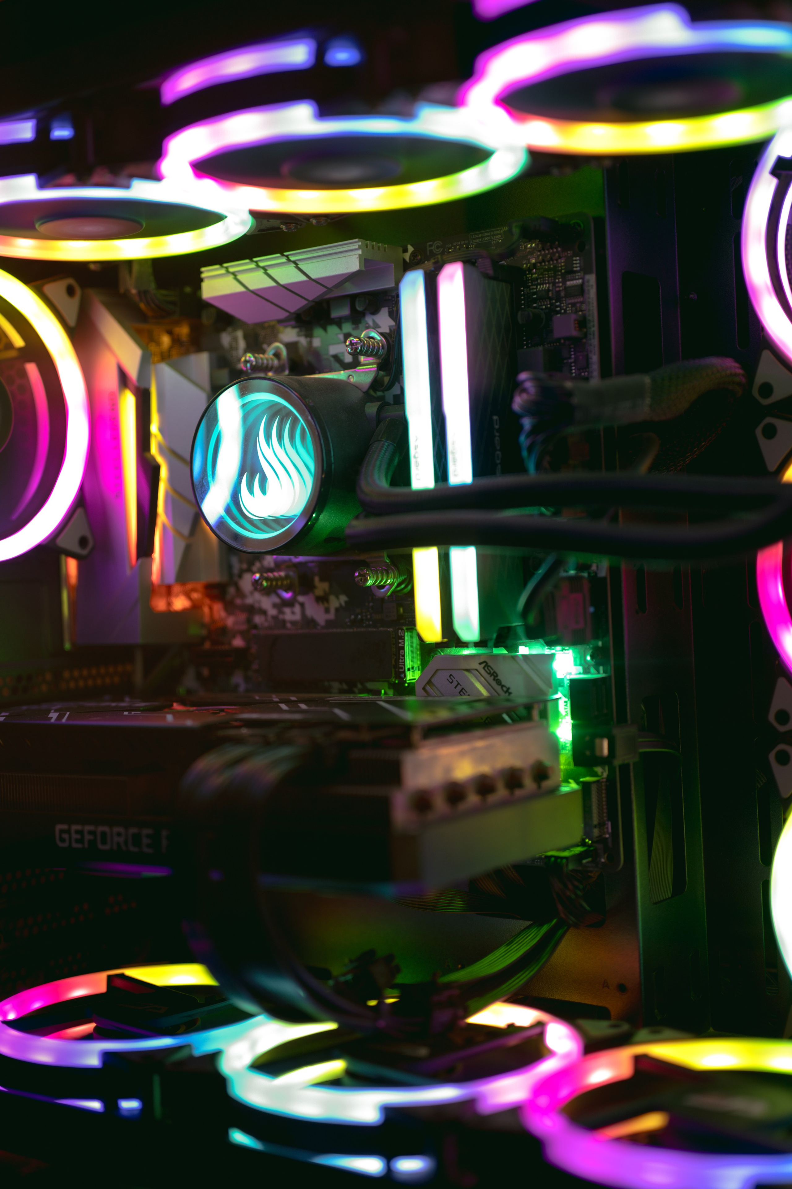 Aleatórias. Ryan Farias — Fotógrafo