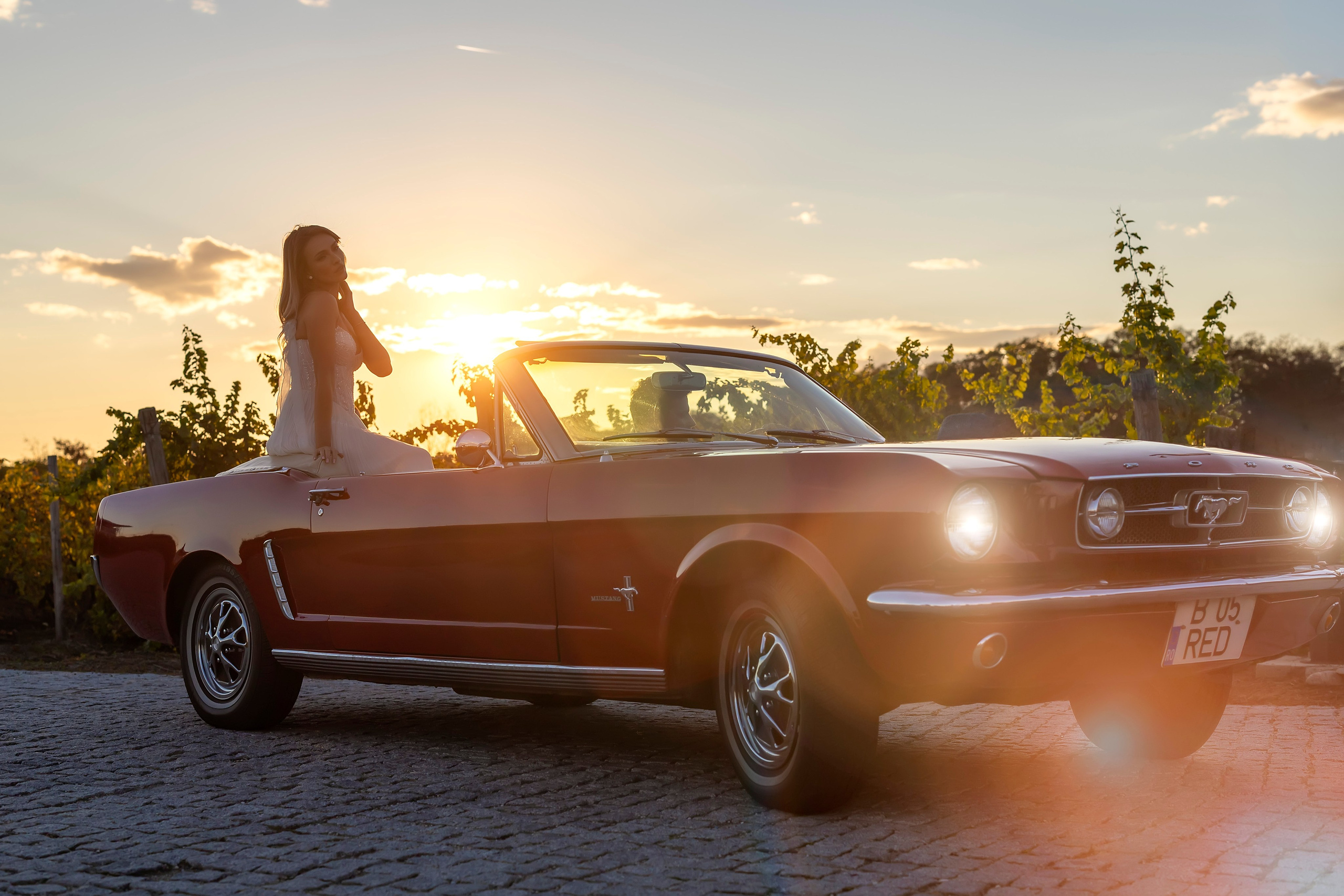 Mihai & Denisa. Romeo Dimache — Wedding photographer in Romania
