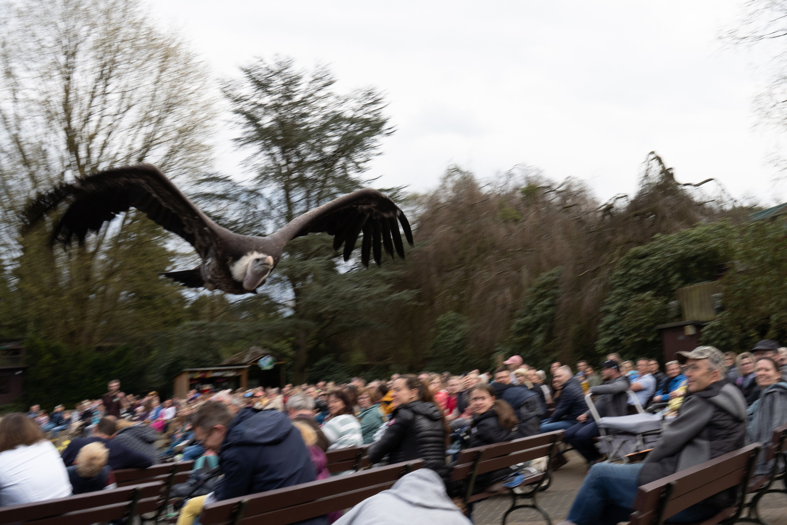 Tierwelt. Bürgerreporter & Amateurfotograf in Hannover