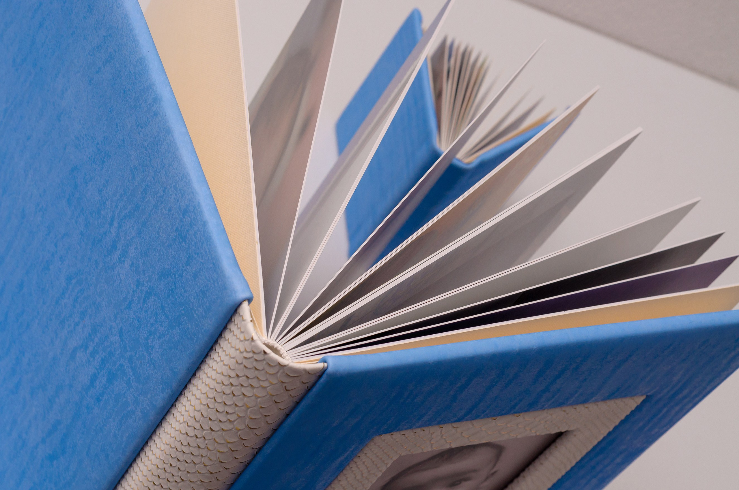 Albume Bogdan Palenciuc