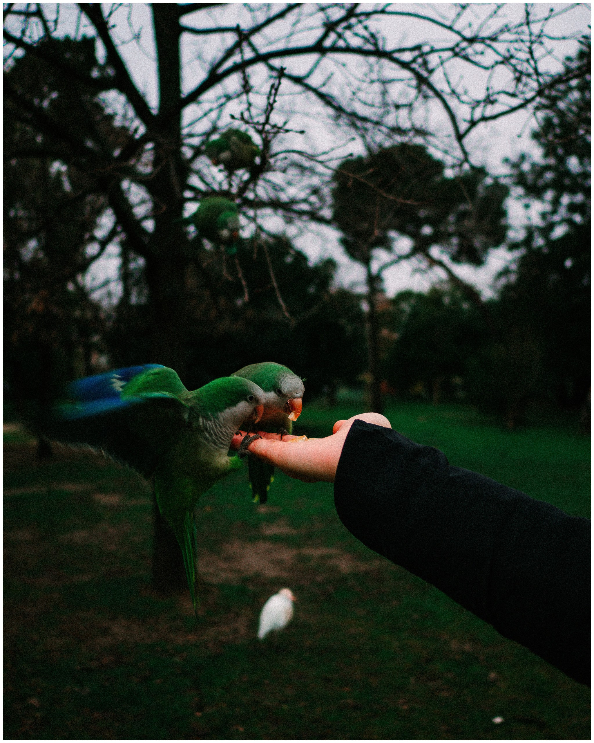 BARCELONA. Inna Mendelson — Photographer