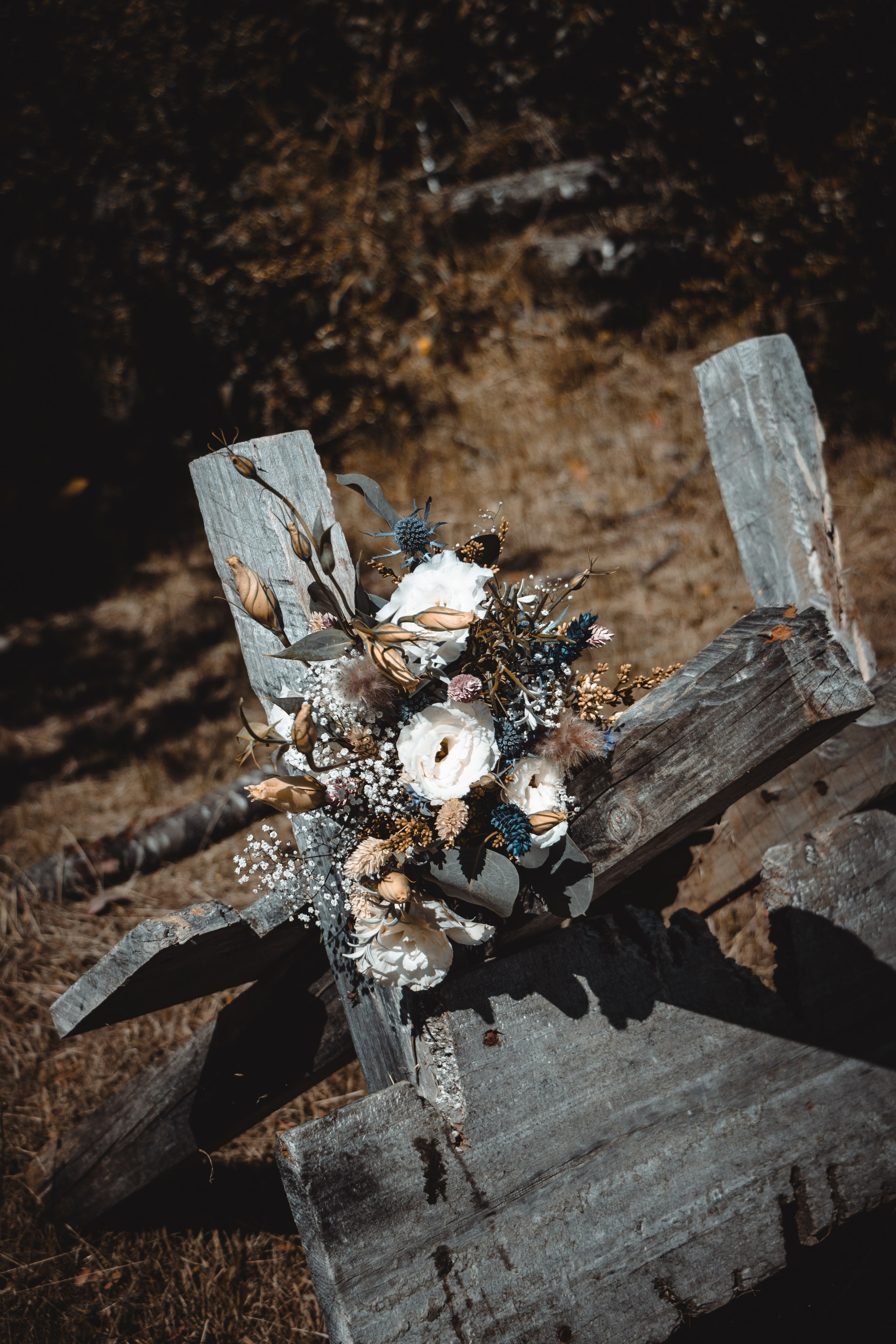 Denisse y Alejandro. Dinka & Emilio — Fotografia e Vídeo