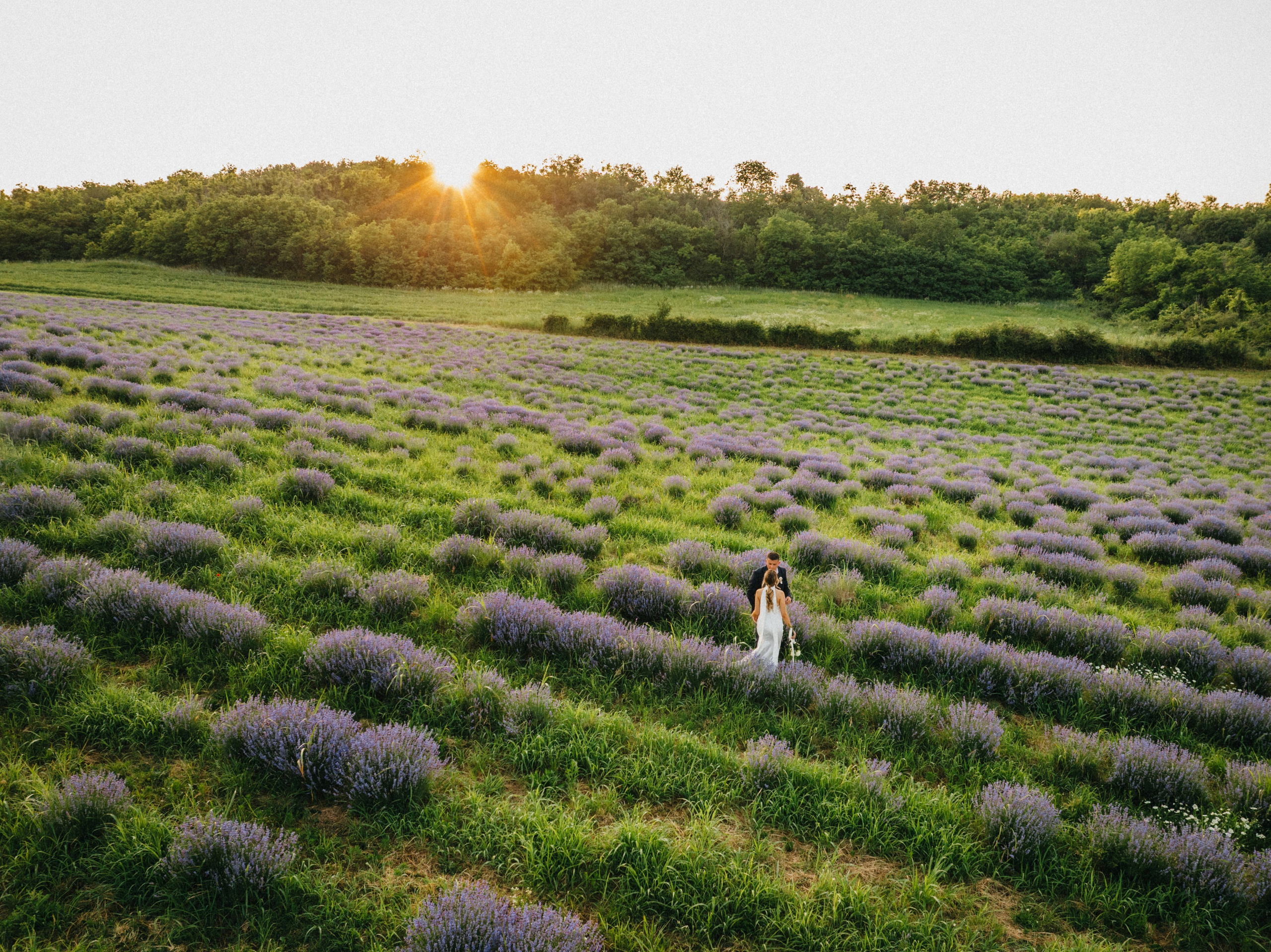 Wedding photography. Wedding photography