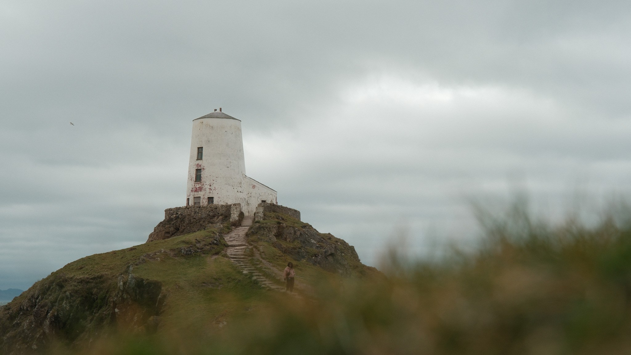 Wales Road Trip 2026. Callum Ecobichon