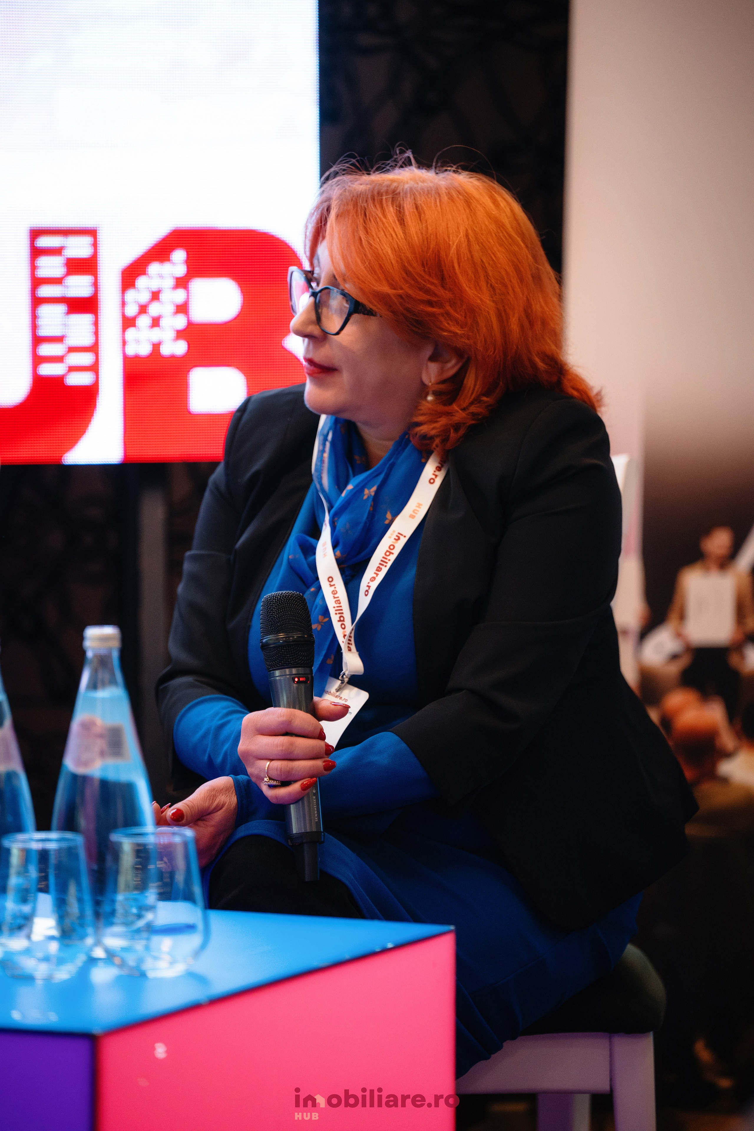 Imobliare HUB. Laurentiu Stefan StoryTeller