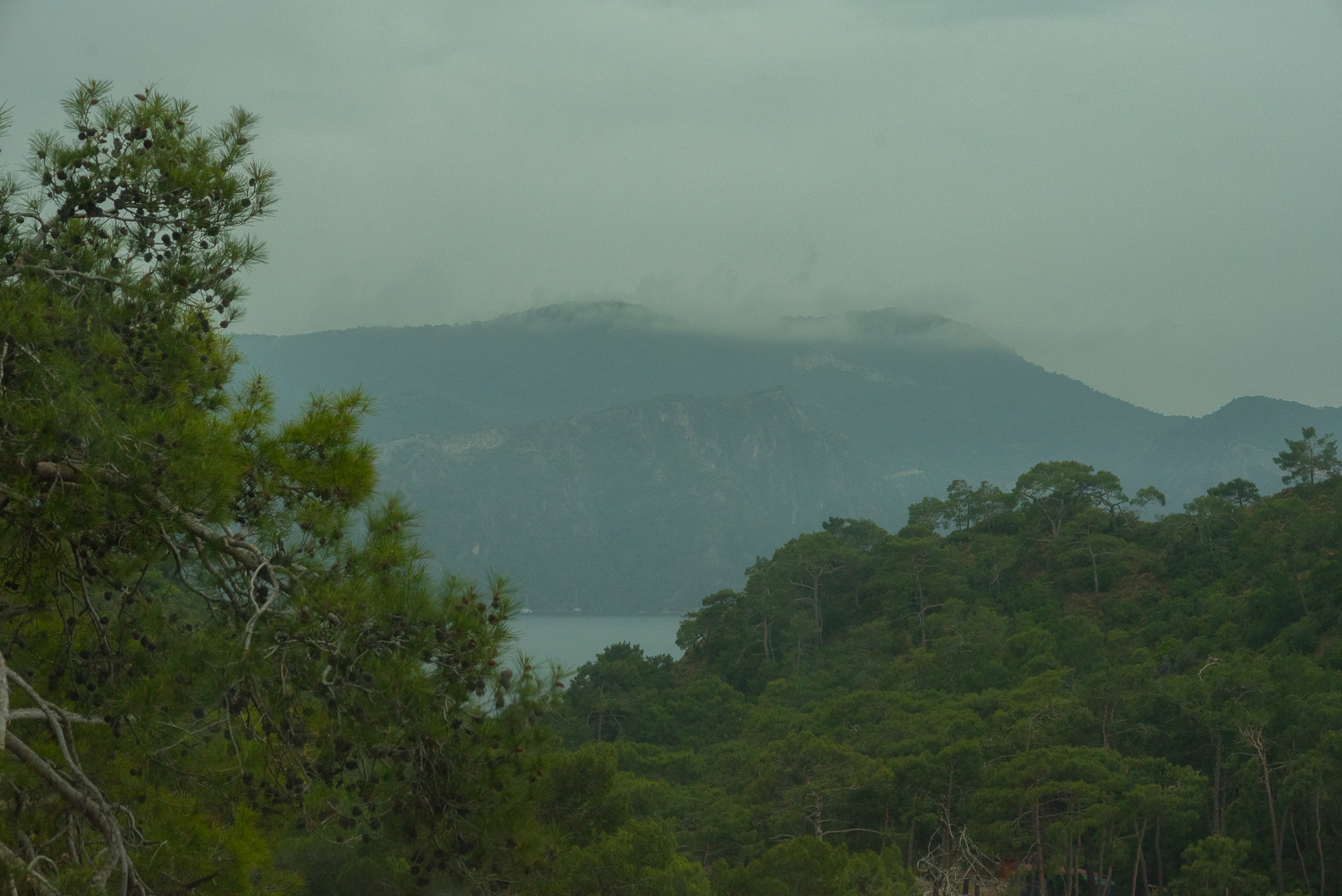 Путешествия. Kindshephoto Женский и семейный фотограф Москва