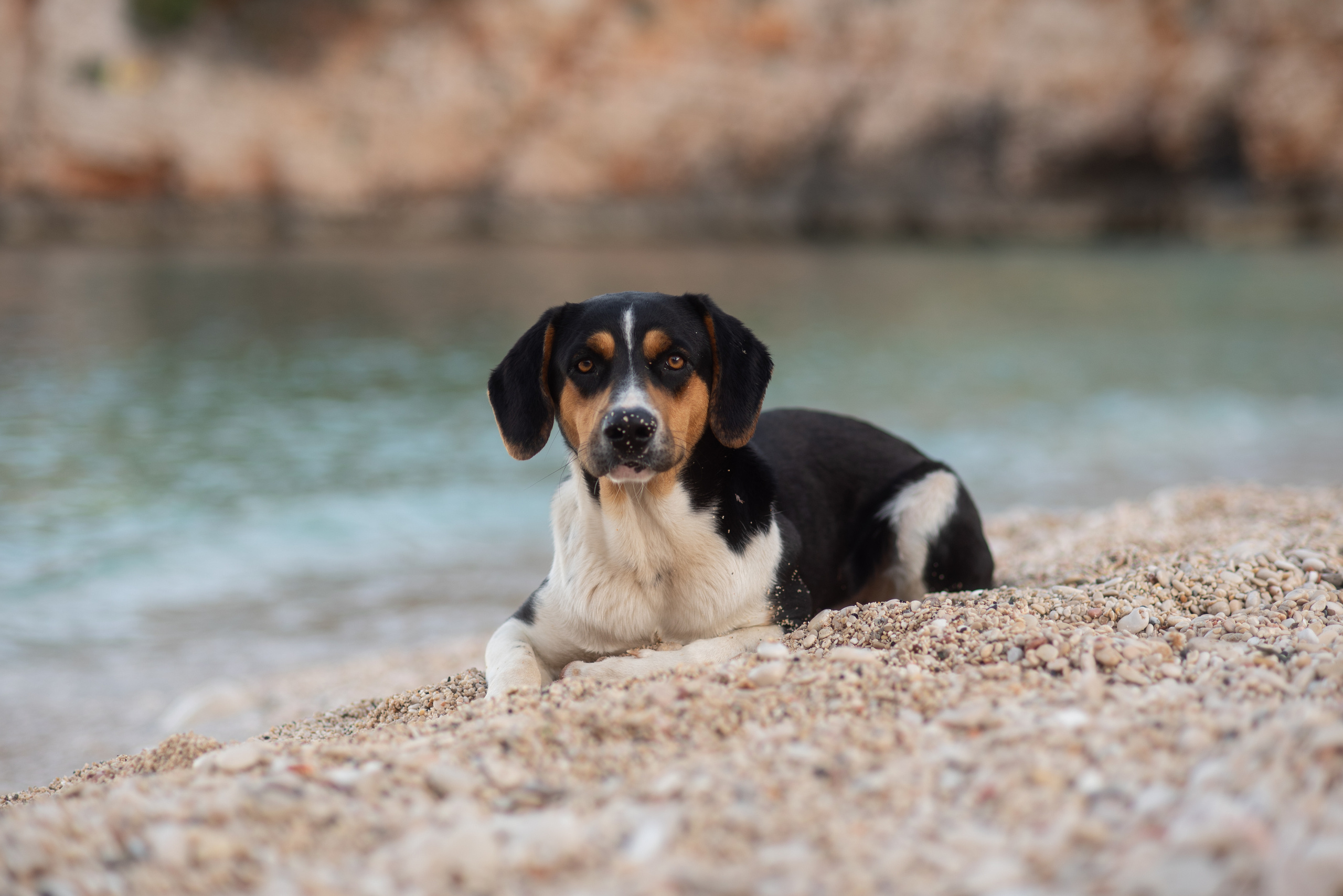 Путешествия. Kindshephoto Женский и семейный фотограф Москва