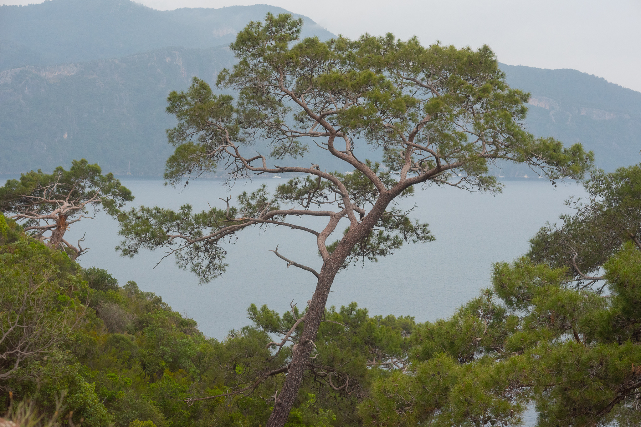 Путешествия. Kindshephoto Женский и семейный фотограф Москва