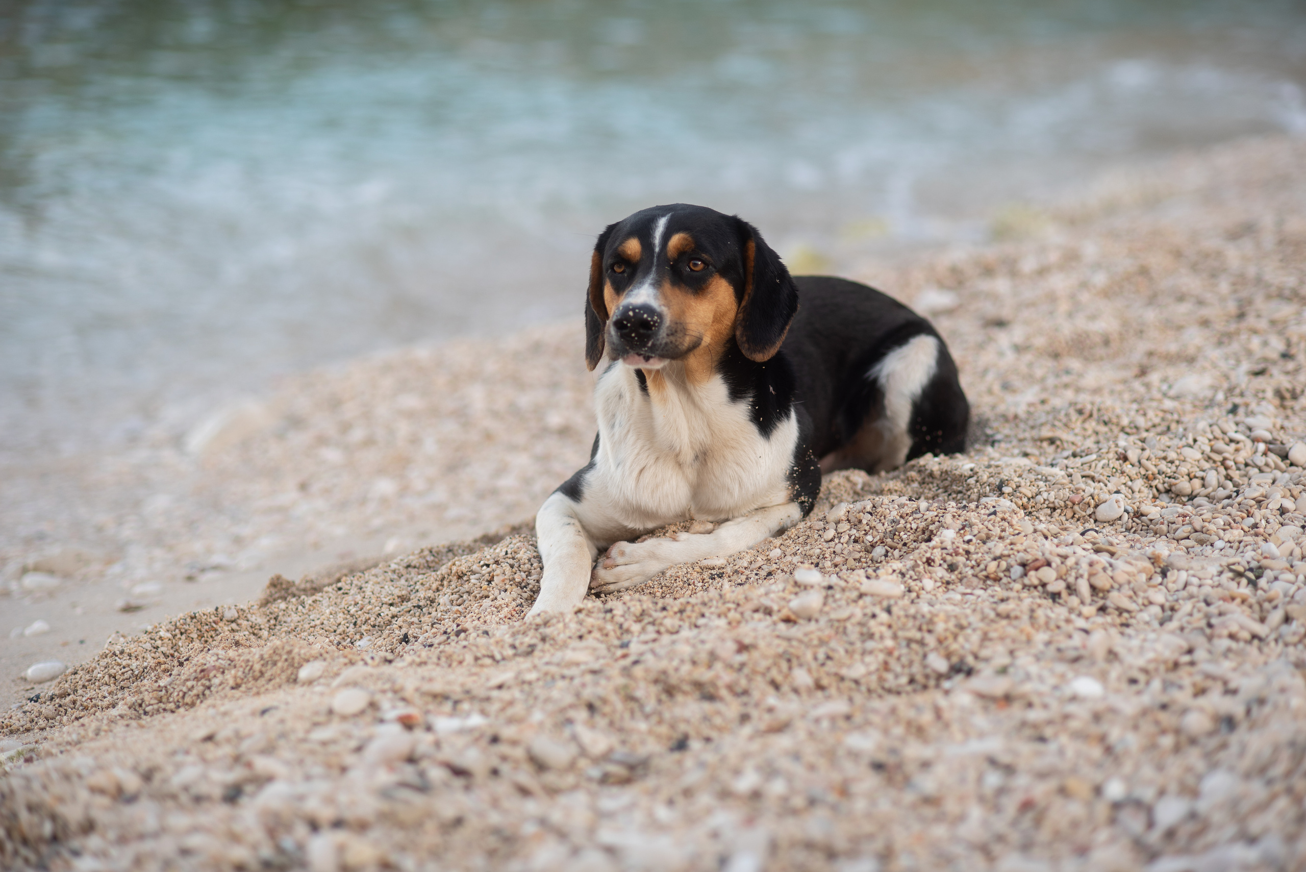Путешествия. Kindshephoto Женский и семейный фотограф Москва