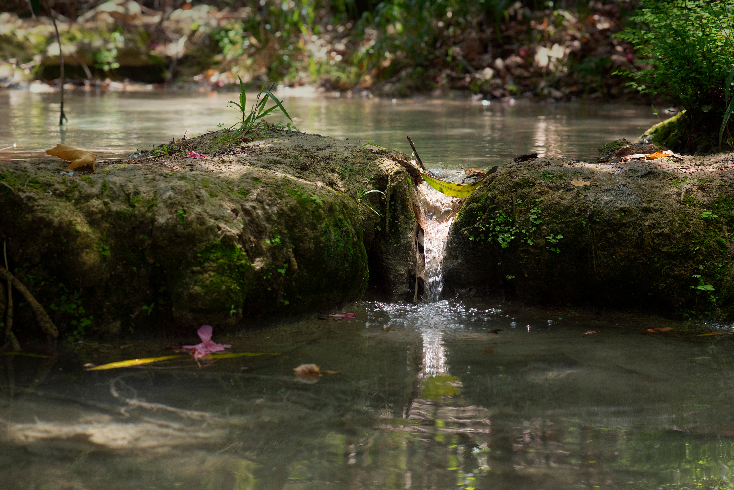 Путешествия. Kindshephoto Женский и семейный фотограф Москва