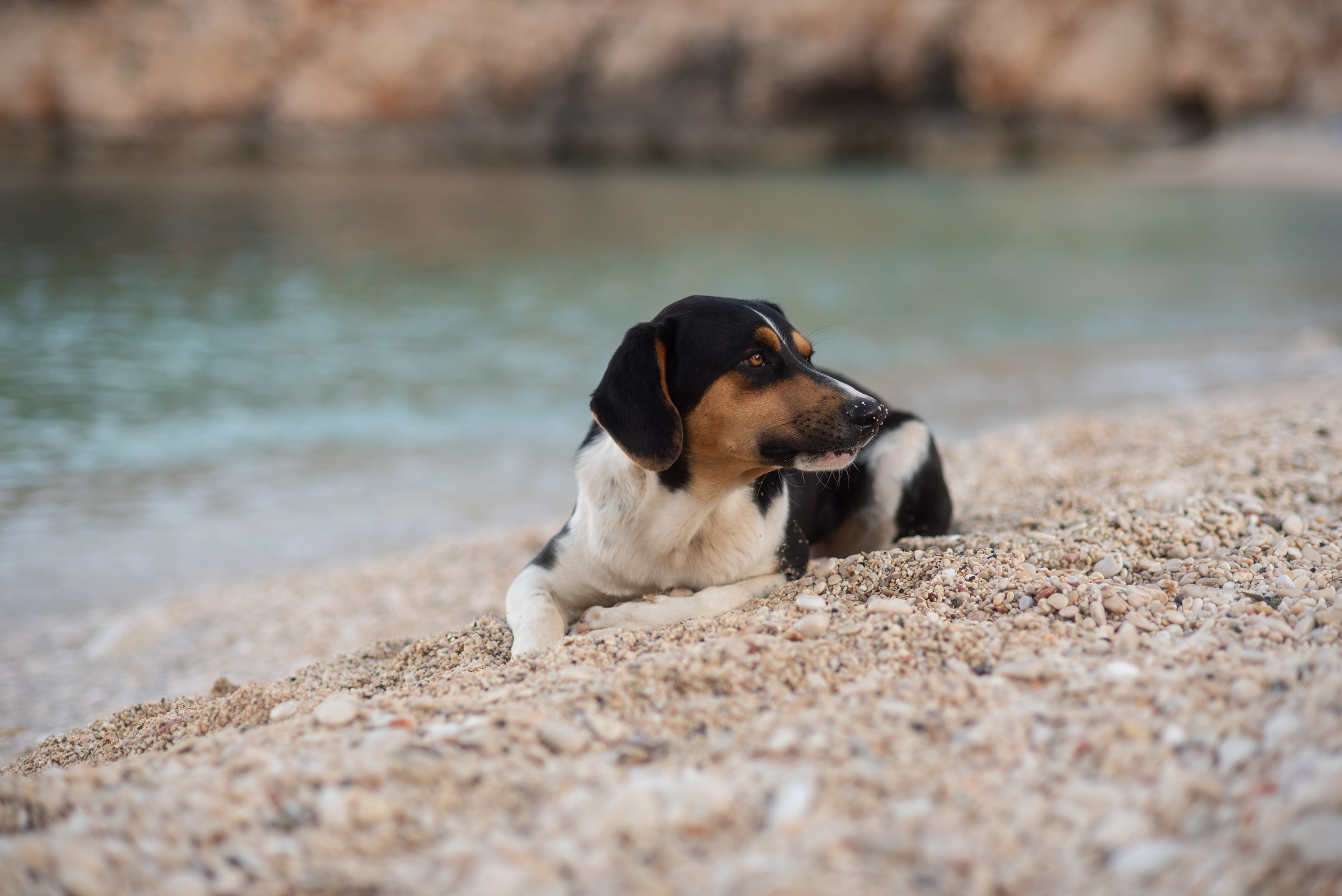 Путешествия. Kindshephoto Женский и семейный фотограф Москва