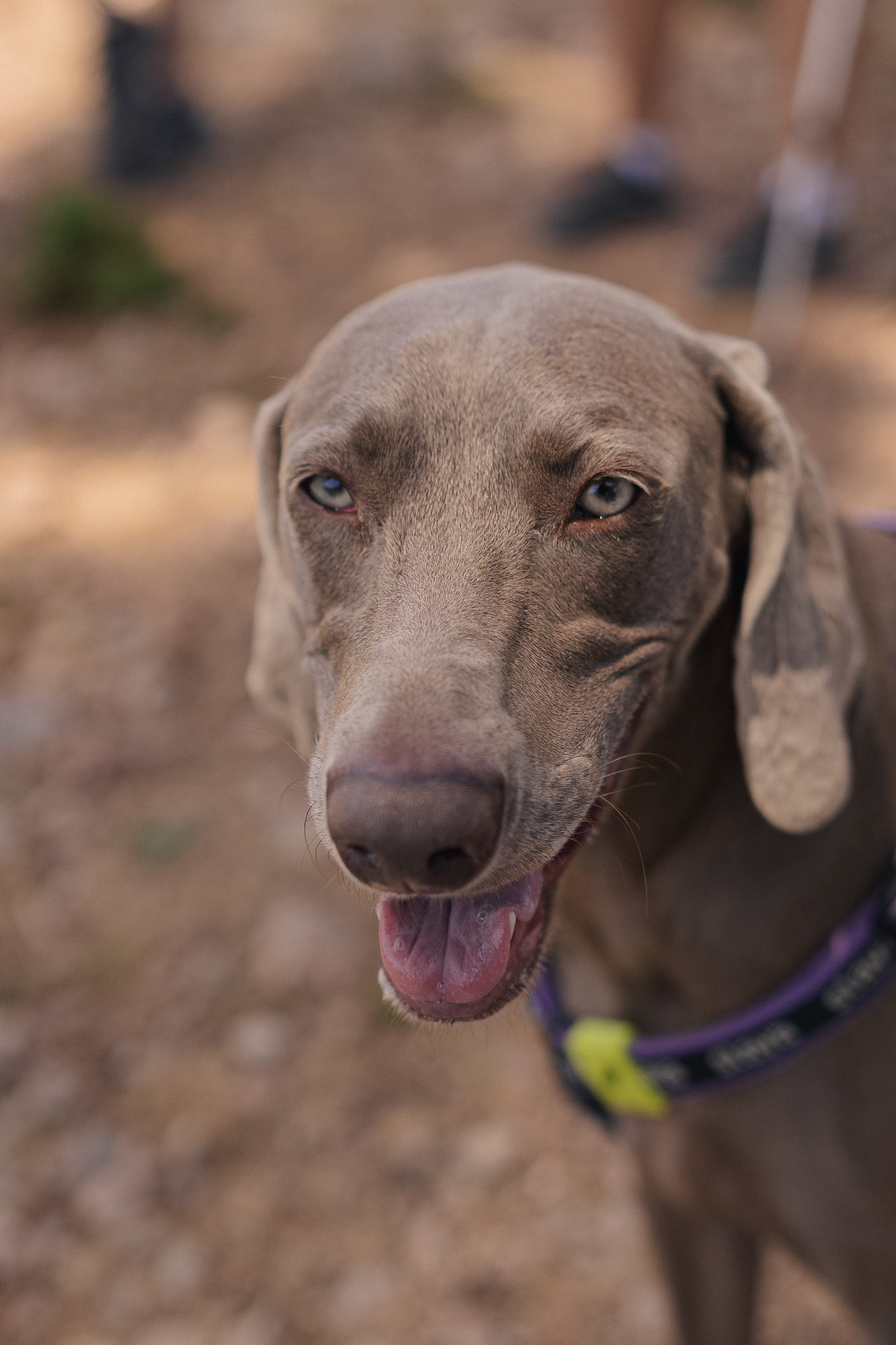 Хайкинг Ликийская тропа. Фотограф Москва Ларина Юлия