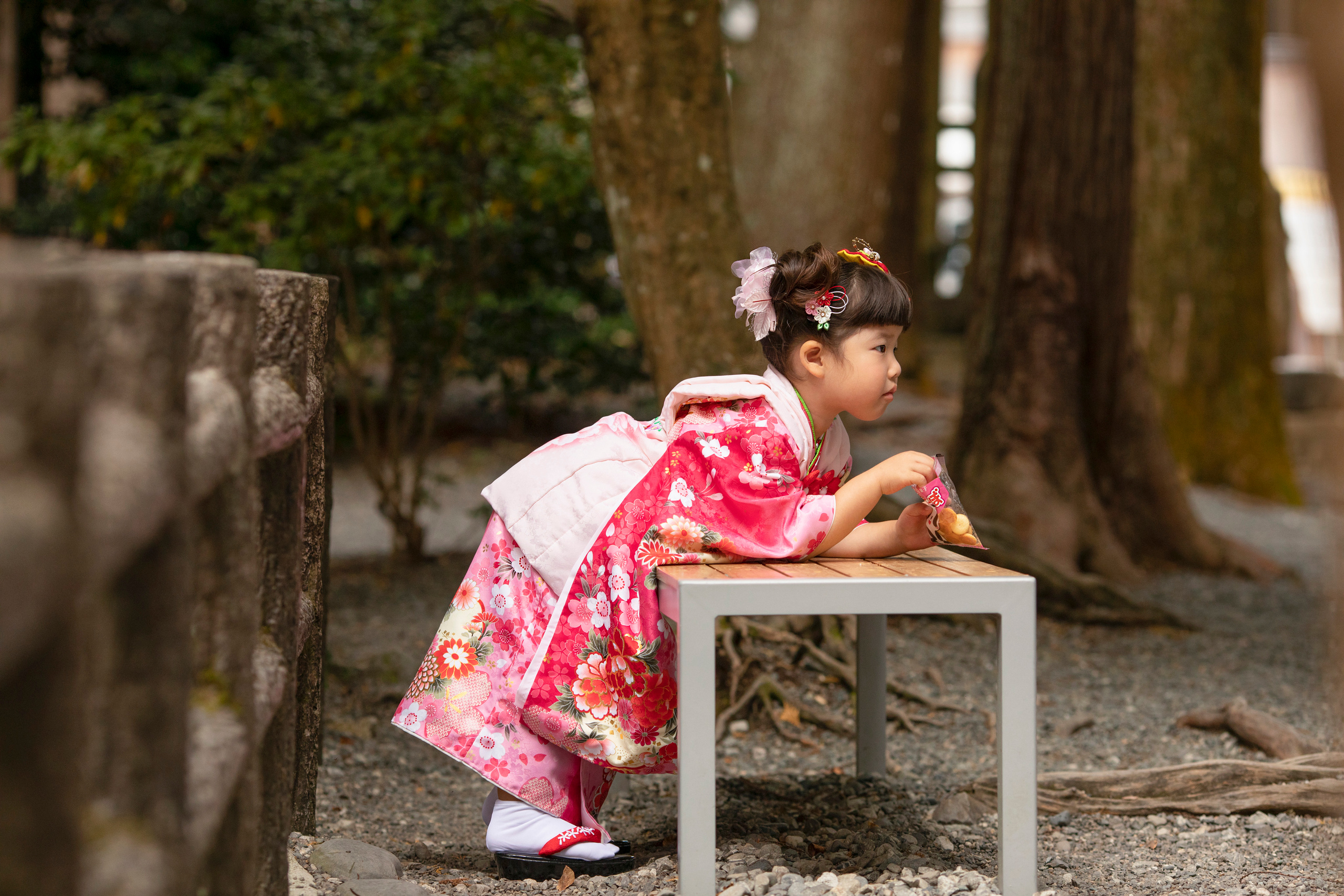 出張カメラマン　七五三　753 家族写真　家族　子供　記念写真　山梨県　東京　静岡　長野. Kids and Family Photographer in Japan　子供と家族の撮影　日本