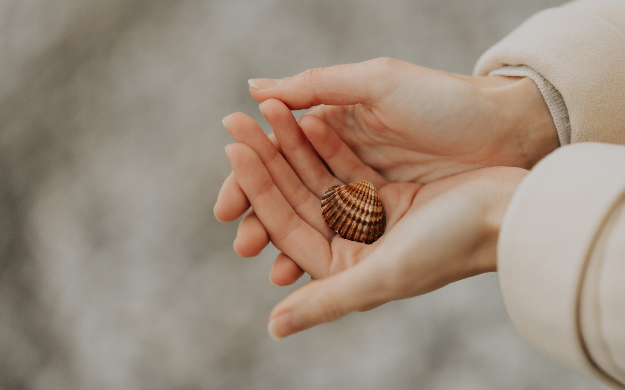 PORTRAIT | BAR. Montenegro photographer and videographer
