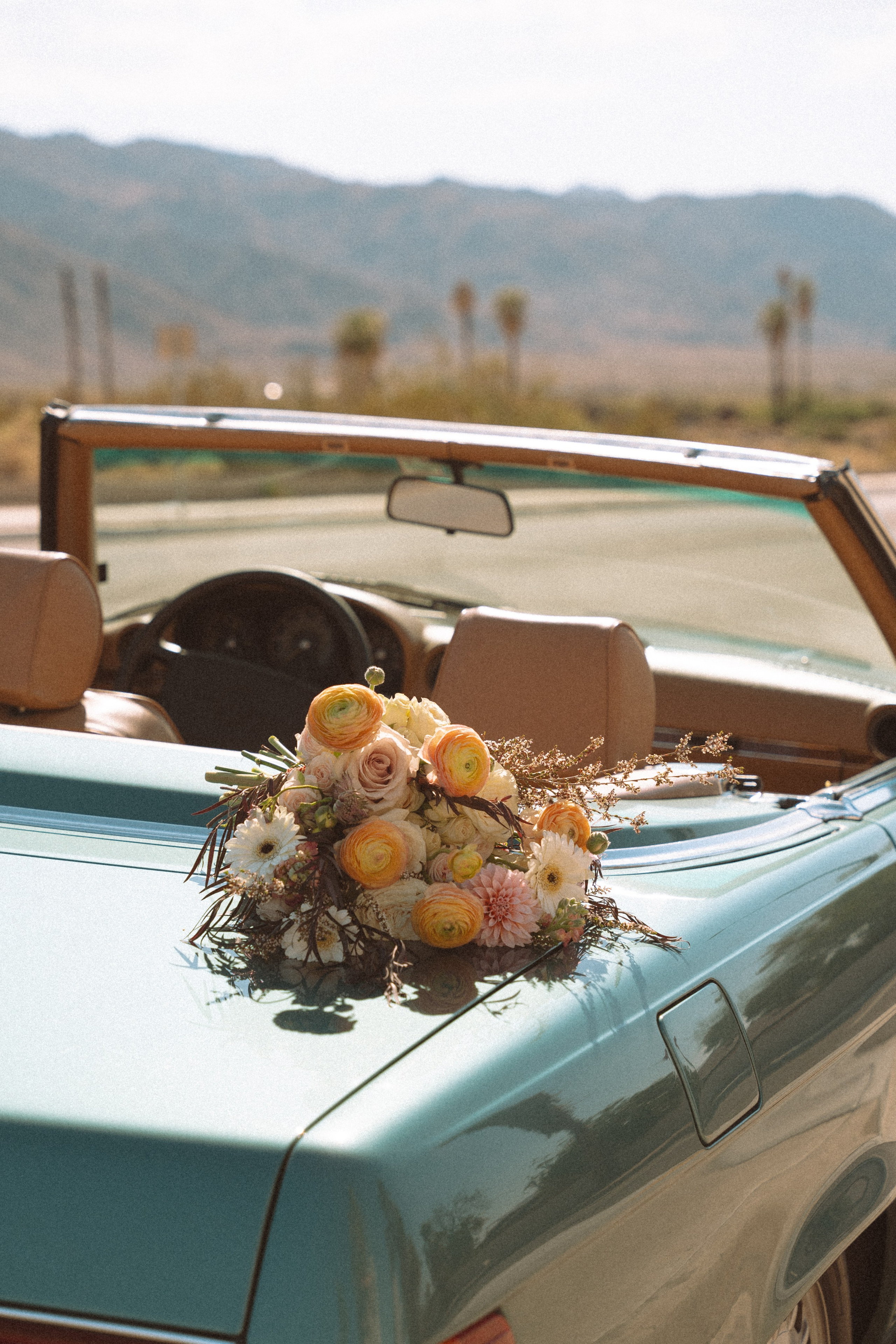 Joshua Tree wedding. Joshua tree elopement. Wedding for 2. Wedding photographer Joshua Tree. Elopement photographer in Joshua Tree. Couples photographer in Joshua Tree. Elopement in Joshua Tree