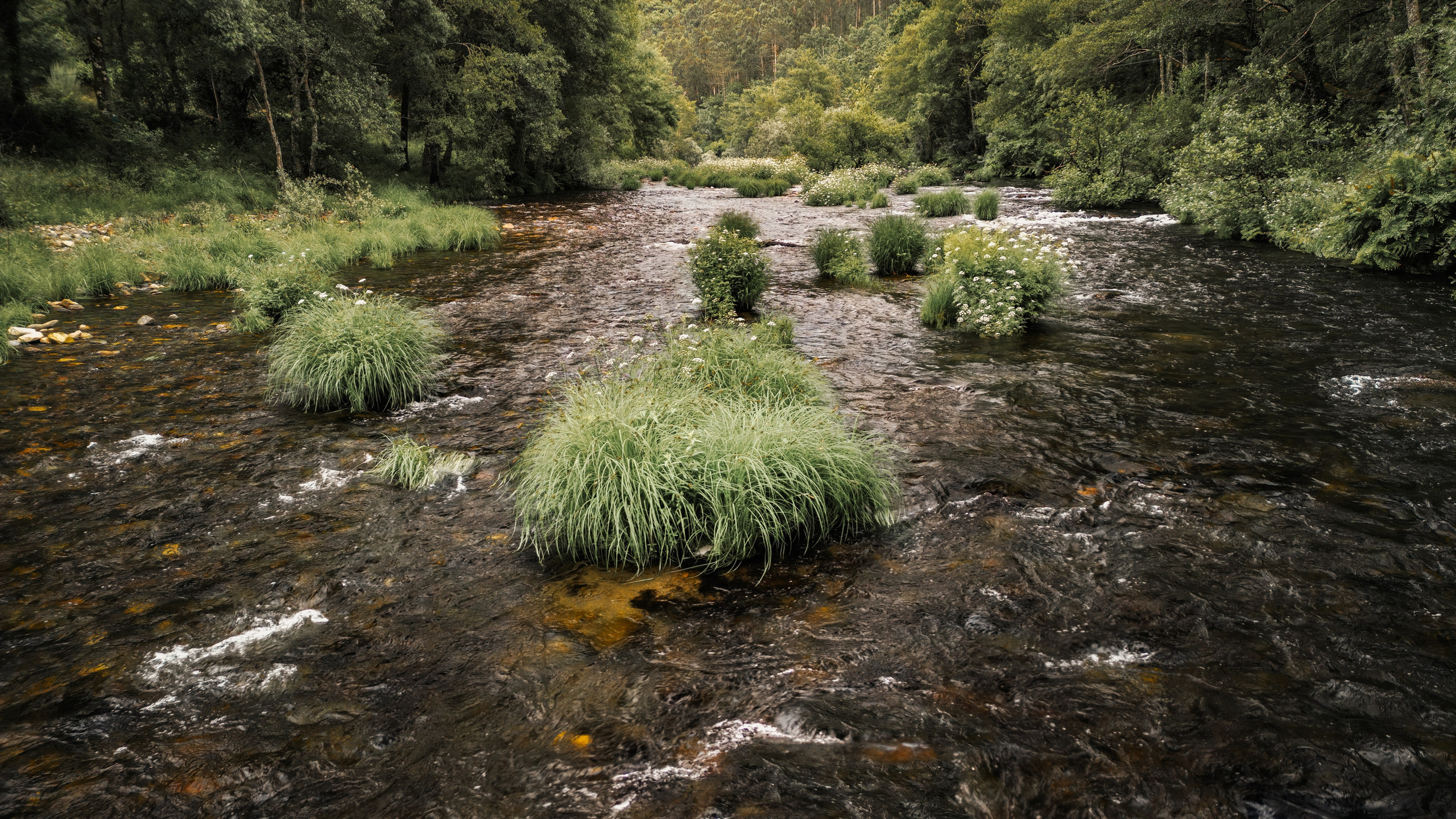 Fotografia de Natureza – Portfólio | Paulo Marques Photography. Paulo Marques Photography