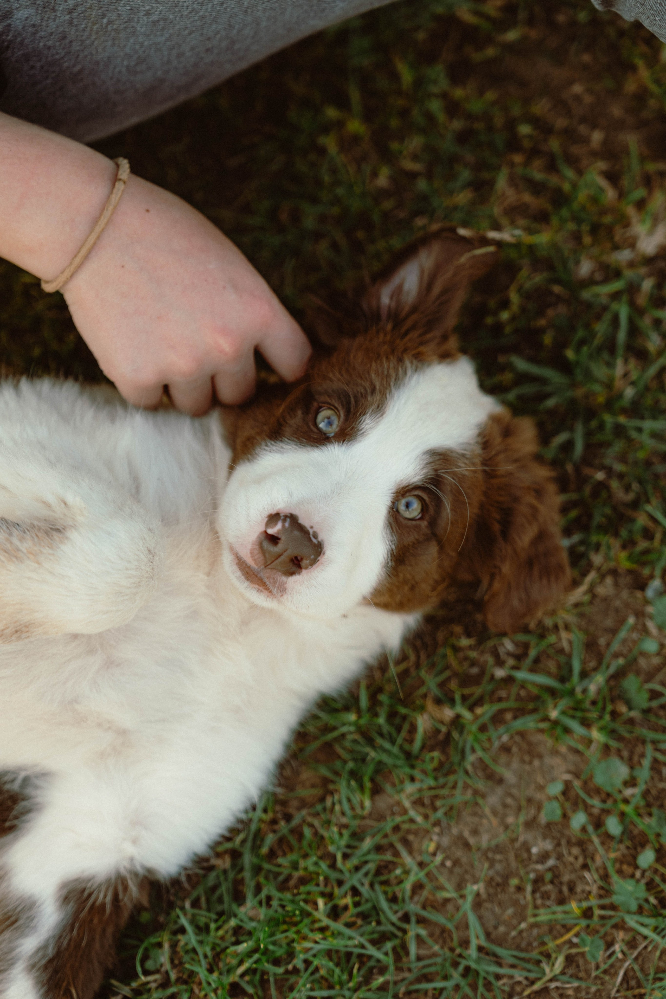 Victoria & Mehdi. Weeding photographer / event / portrait