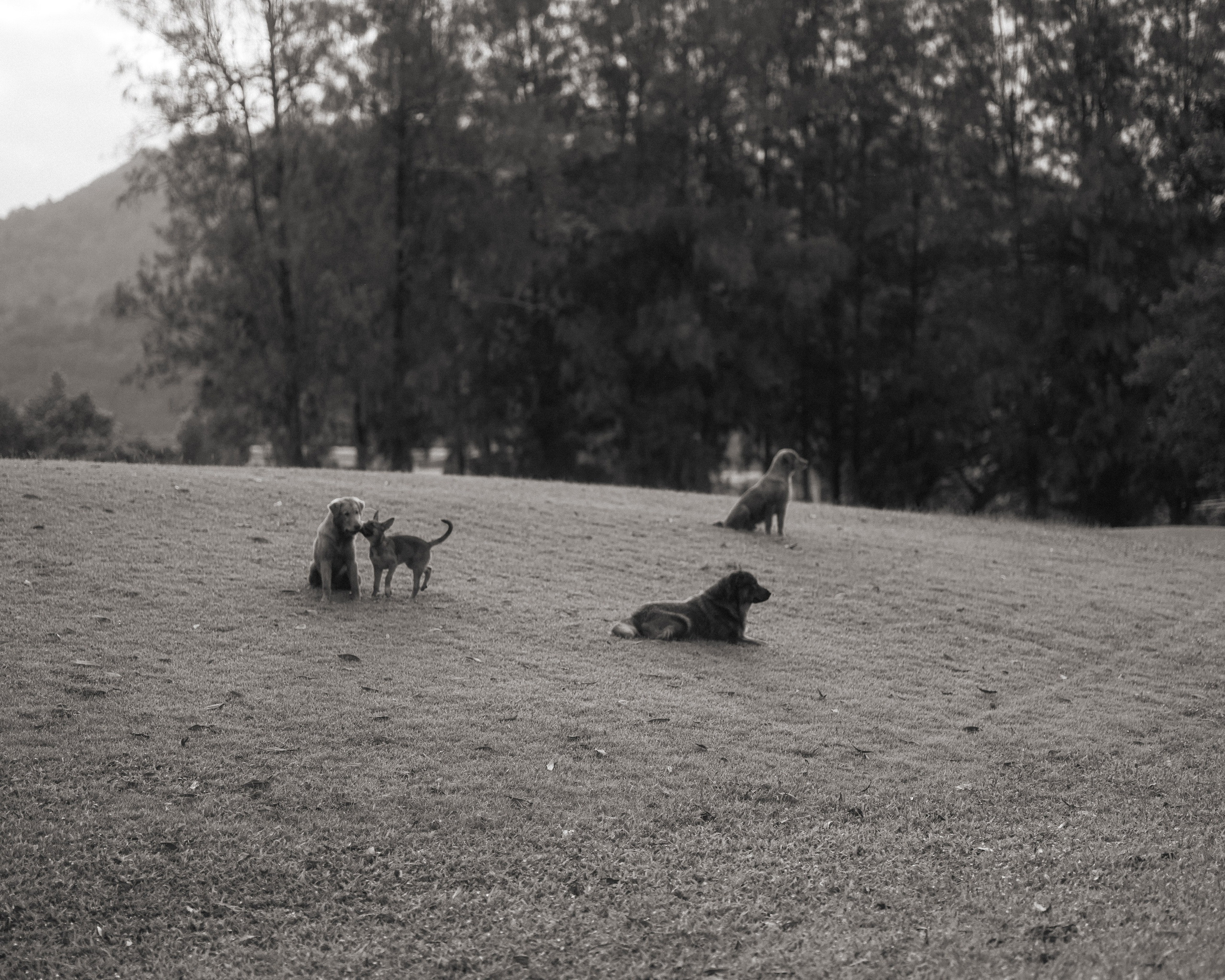 Anastasia. Maria Mishina Photographer Moscow, Phuket