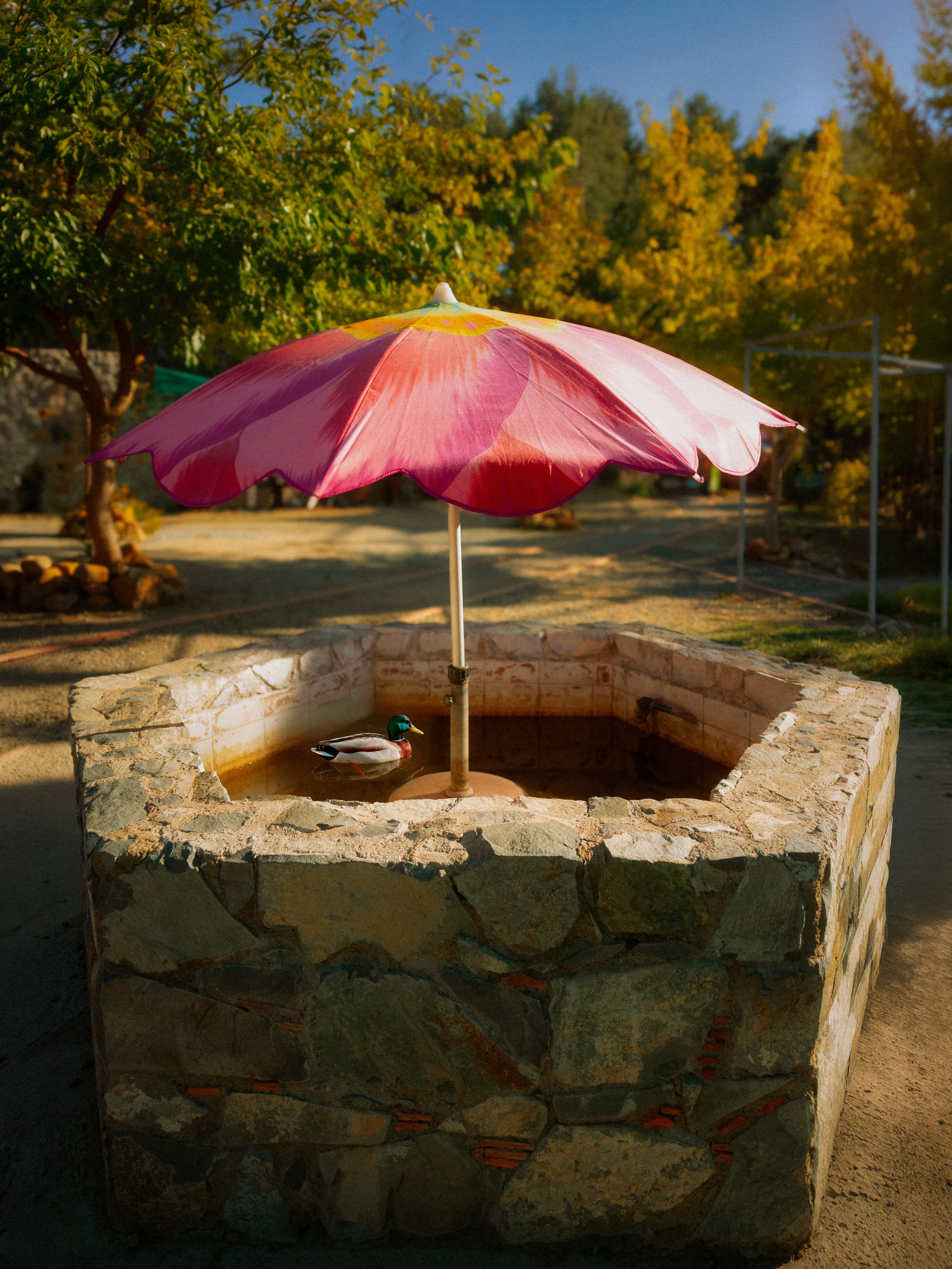 Photos of places around the World