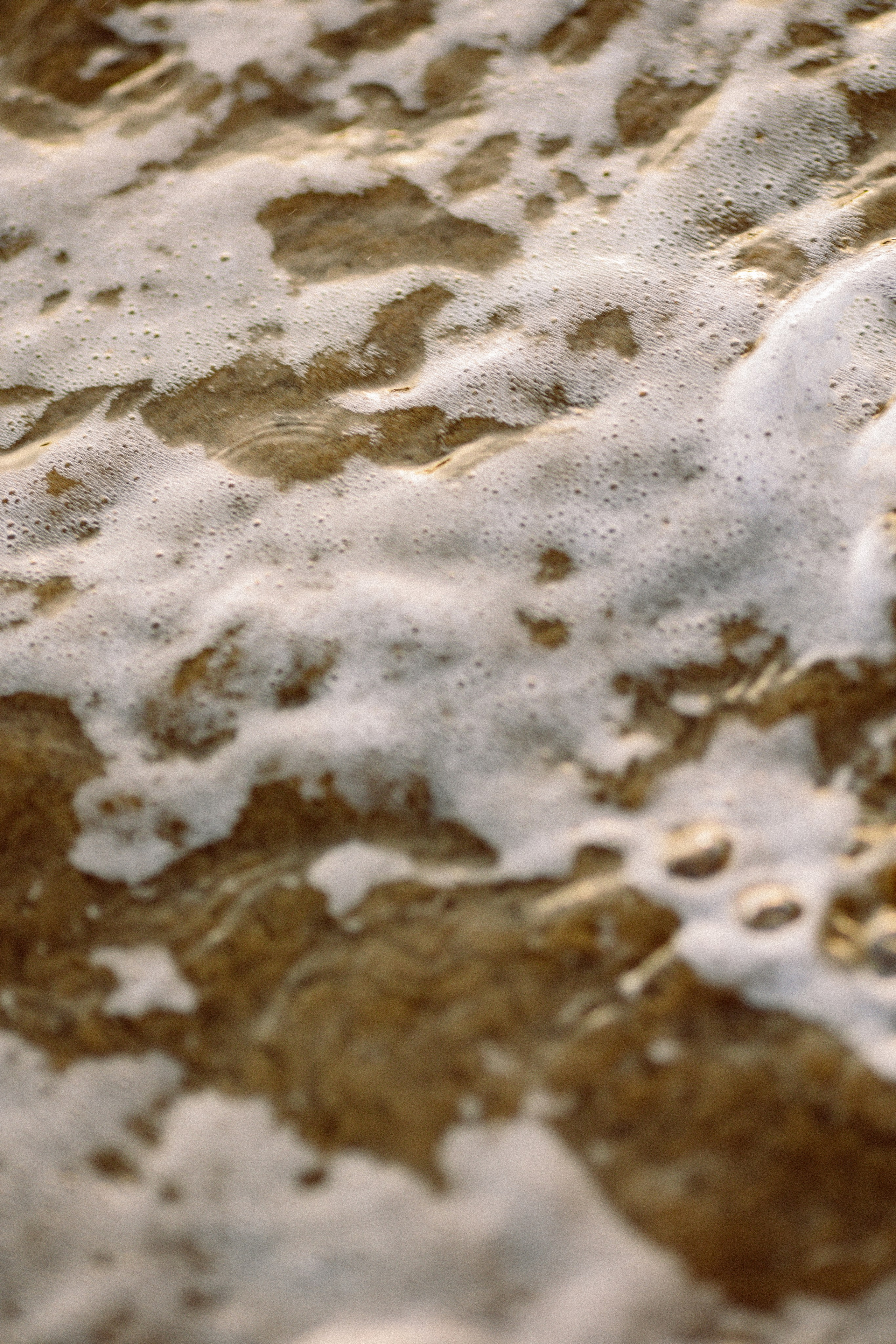 Enzo Organic. Family and business portrait’s photographer in Cyprus