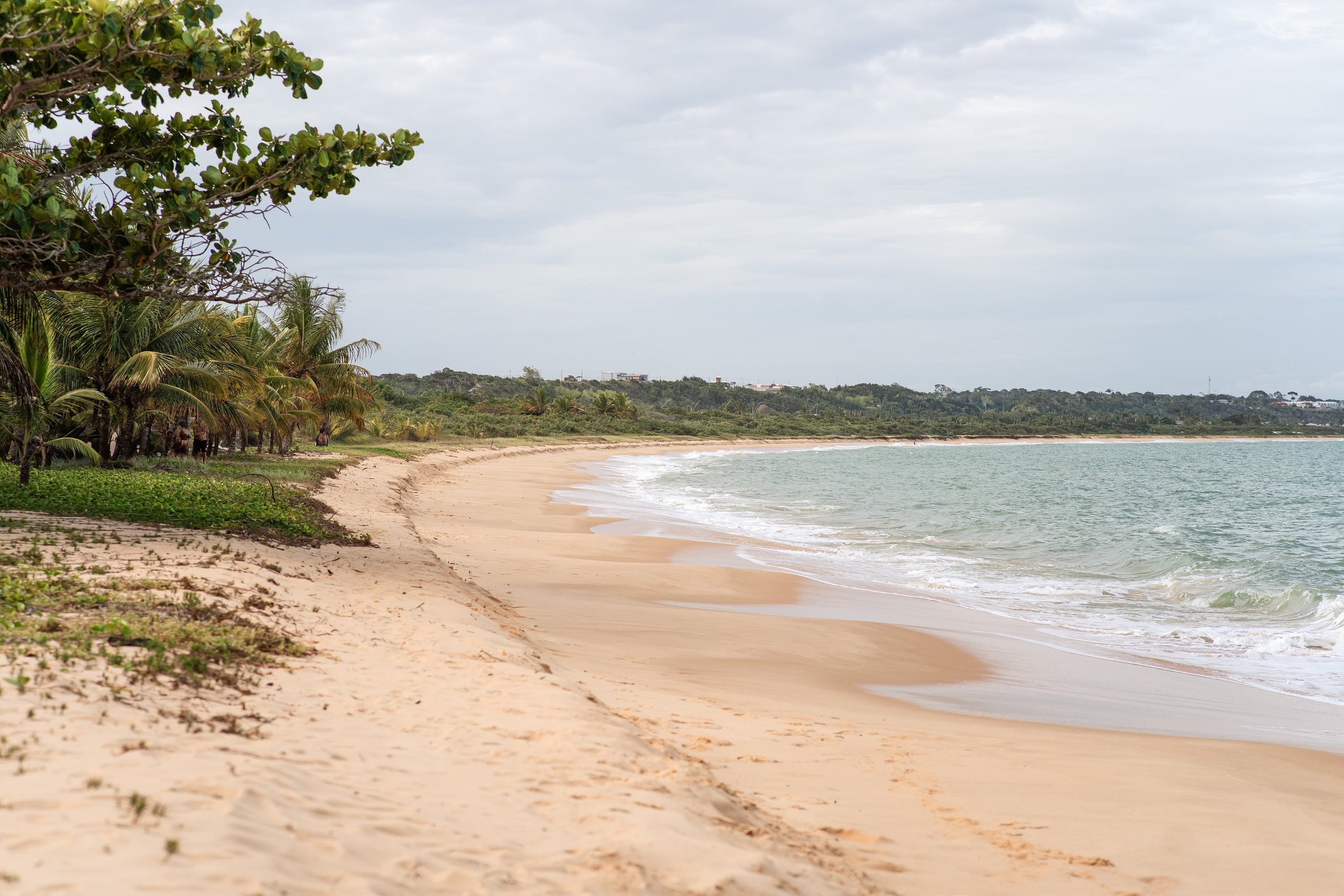 Casamento - Elô & Gui