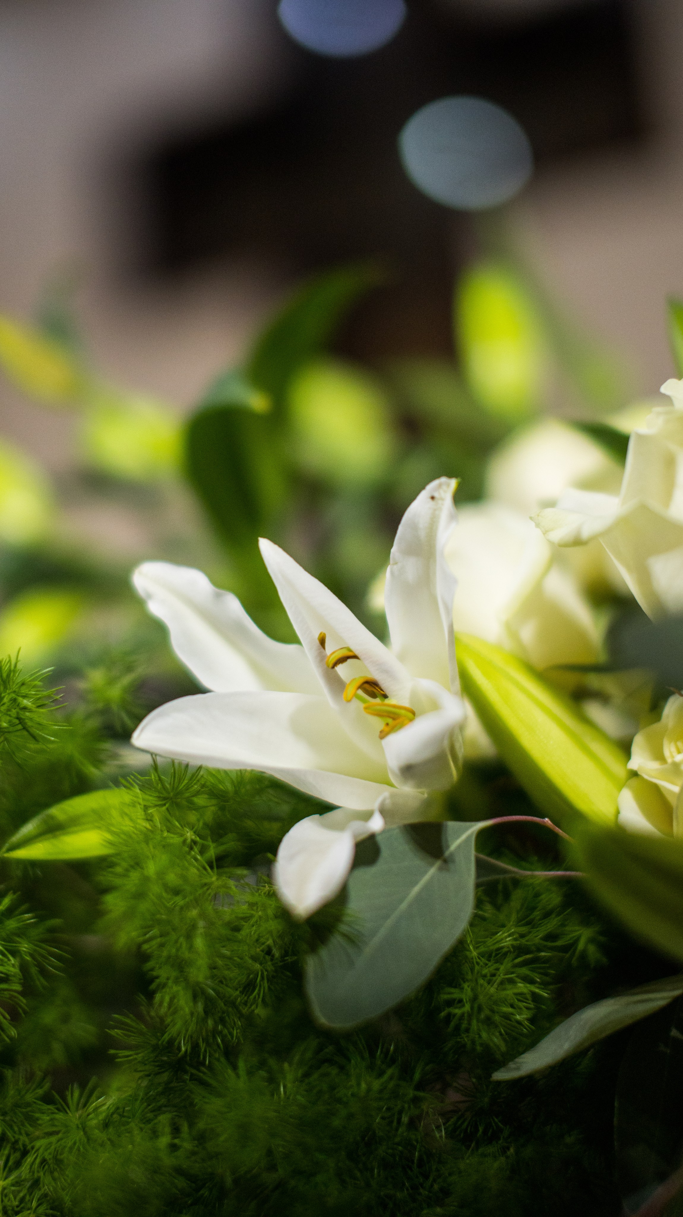 Flowers decor. Сімейний, дитячий та репортажний фотограф з Києва