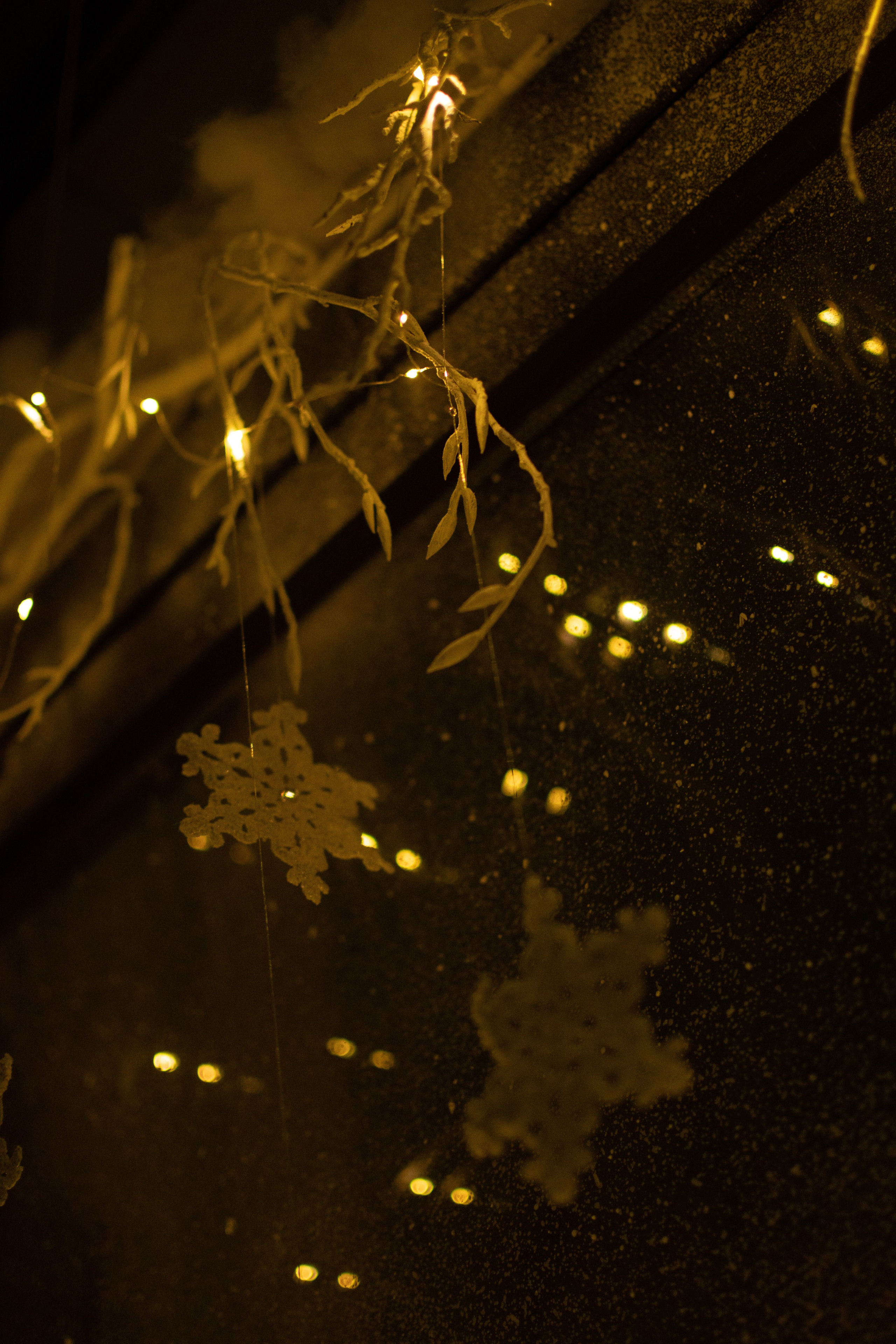 Проект. Семейный и детский фотограф