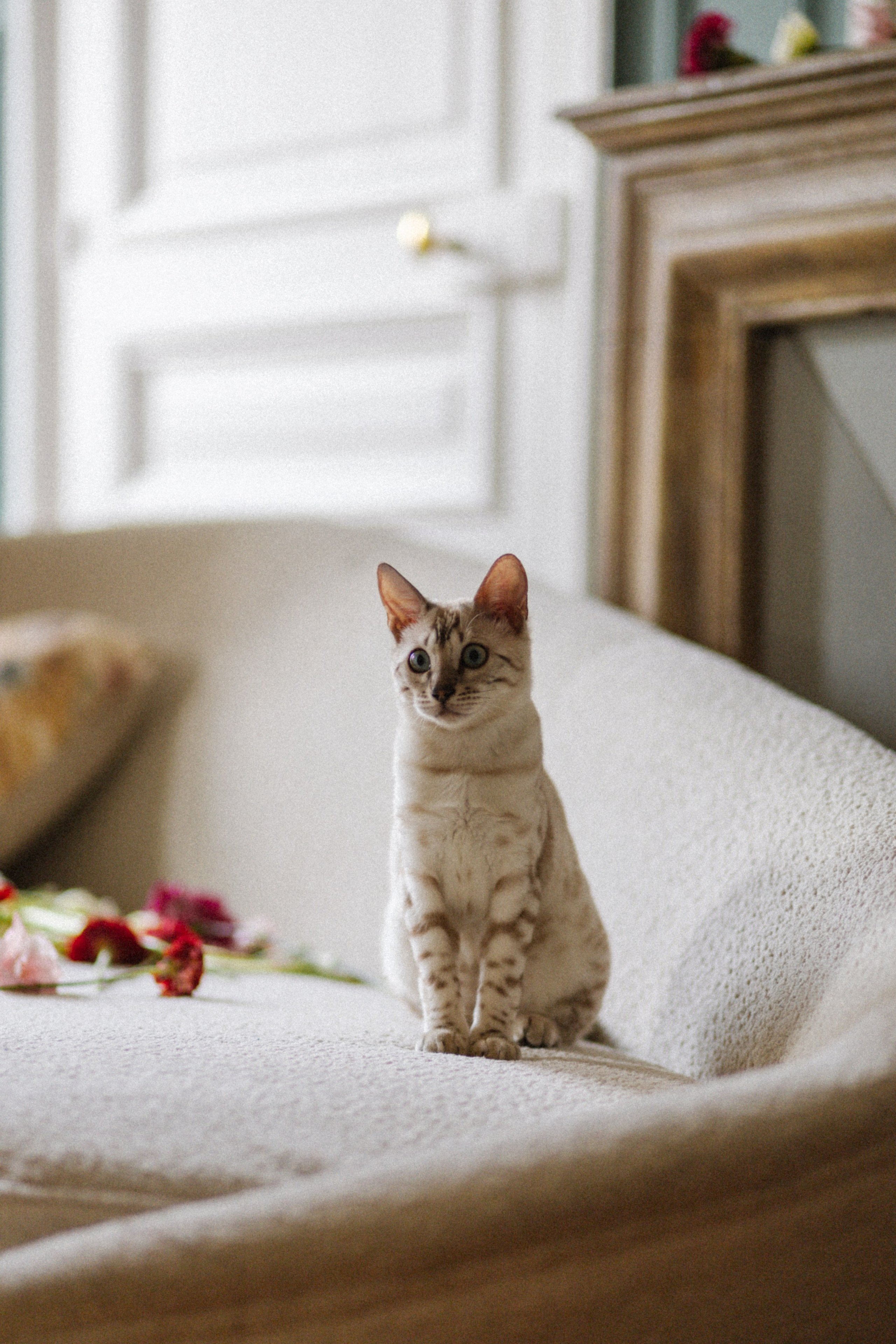 Kylian and Lolita | Elopement in Paris. Yuliya Vaschenok — Photographer in the Netherlands