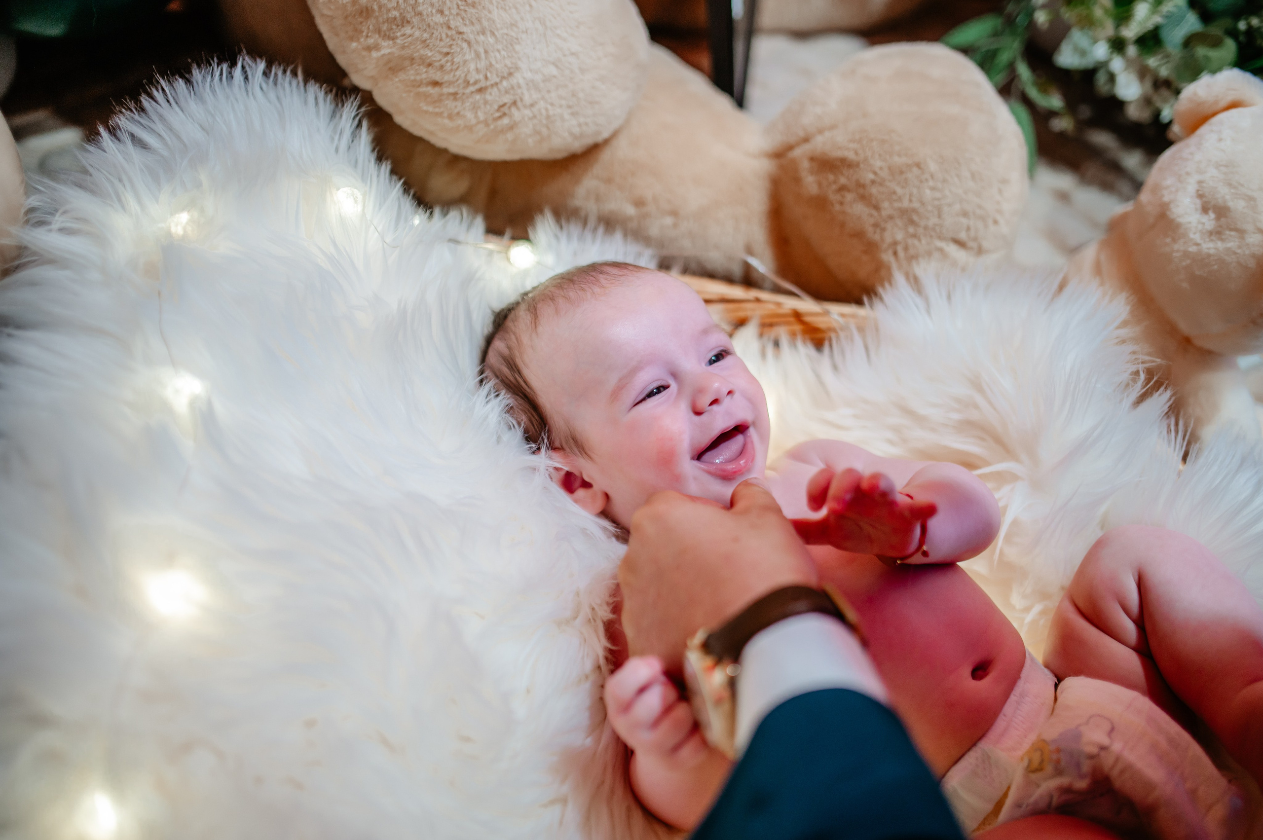 Botez Eduard. Ionut Birceanu