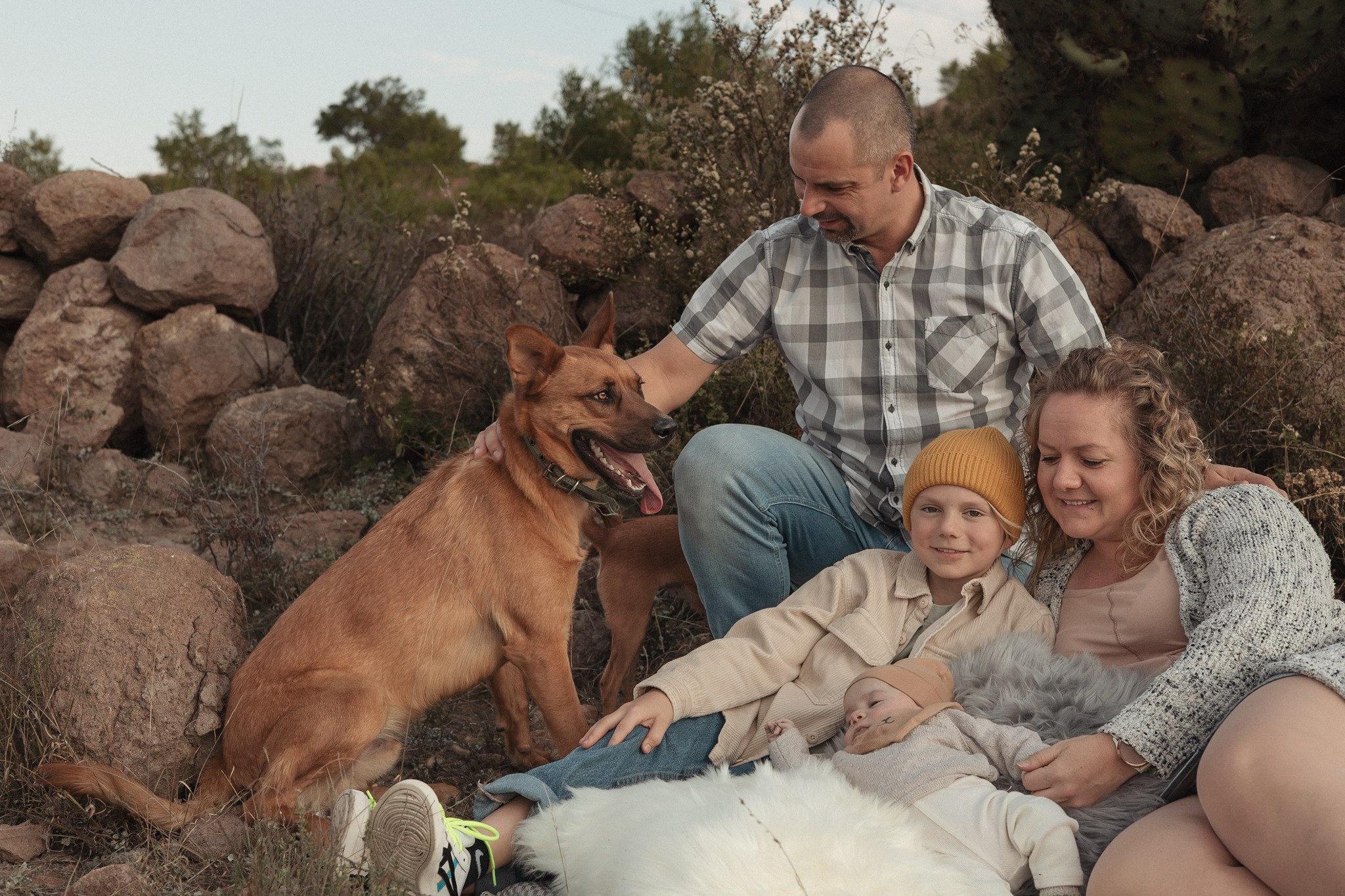 All family together with dogs photoshoot. Photoshoot with dogs. Dog lover photography 