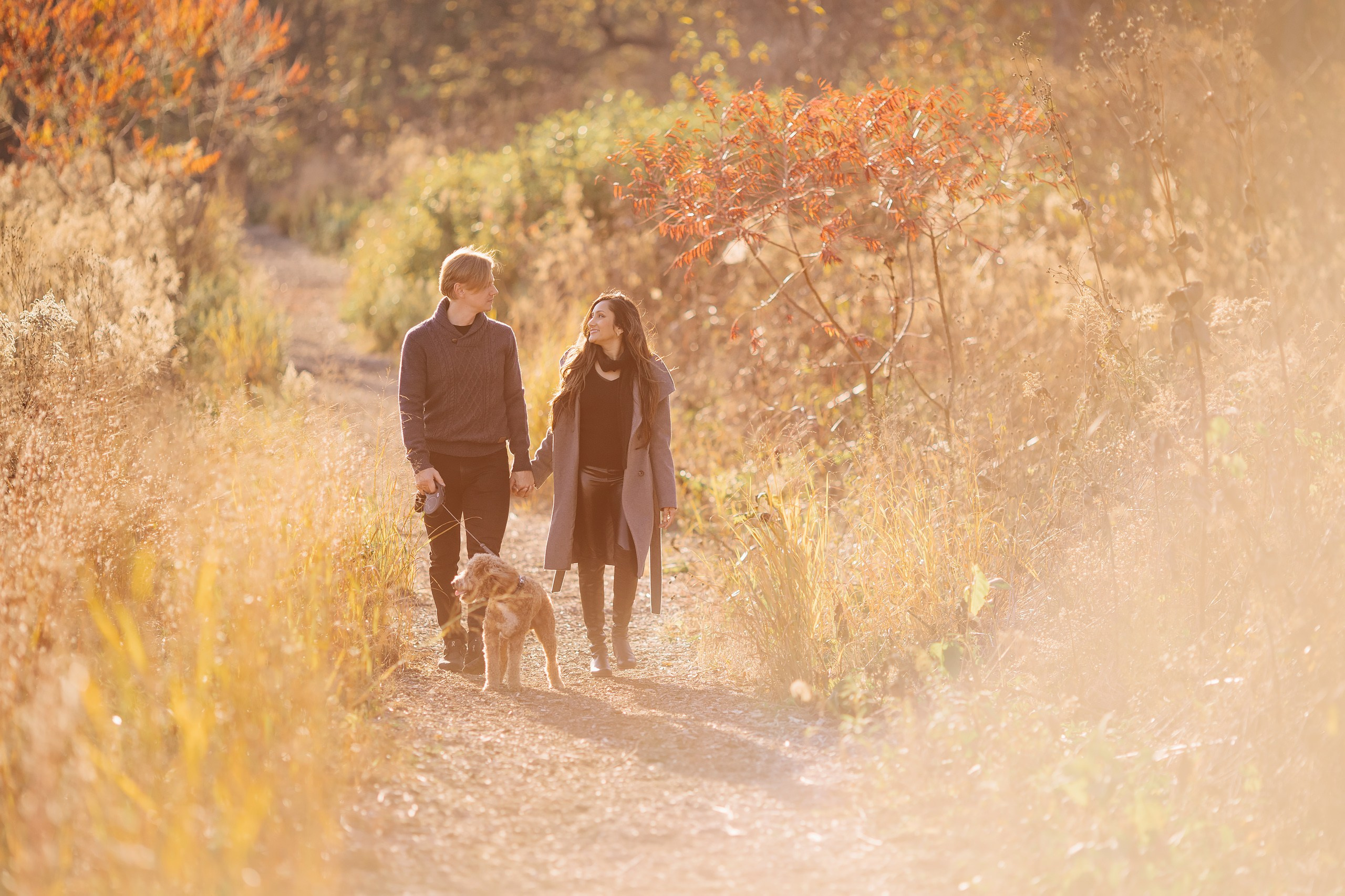 11.02.2024 Love Story. Wedding family event photographer in Chicago Nick Yushevich