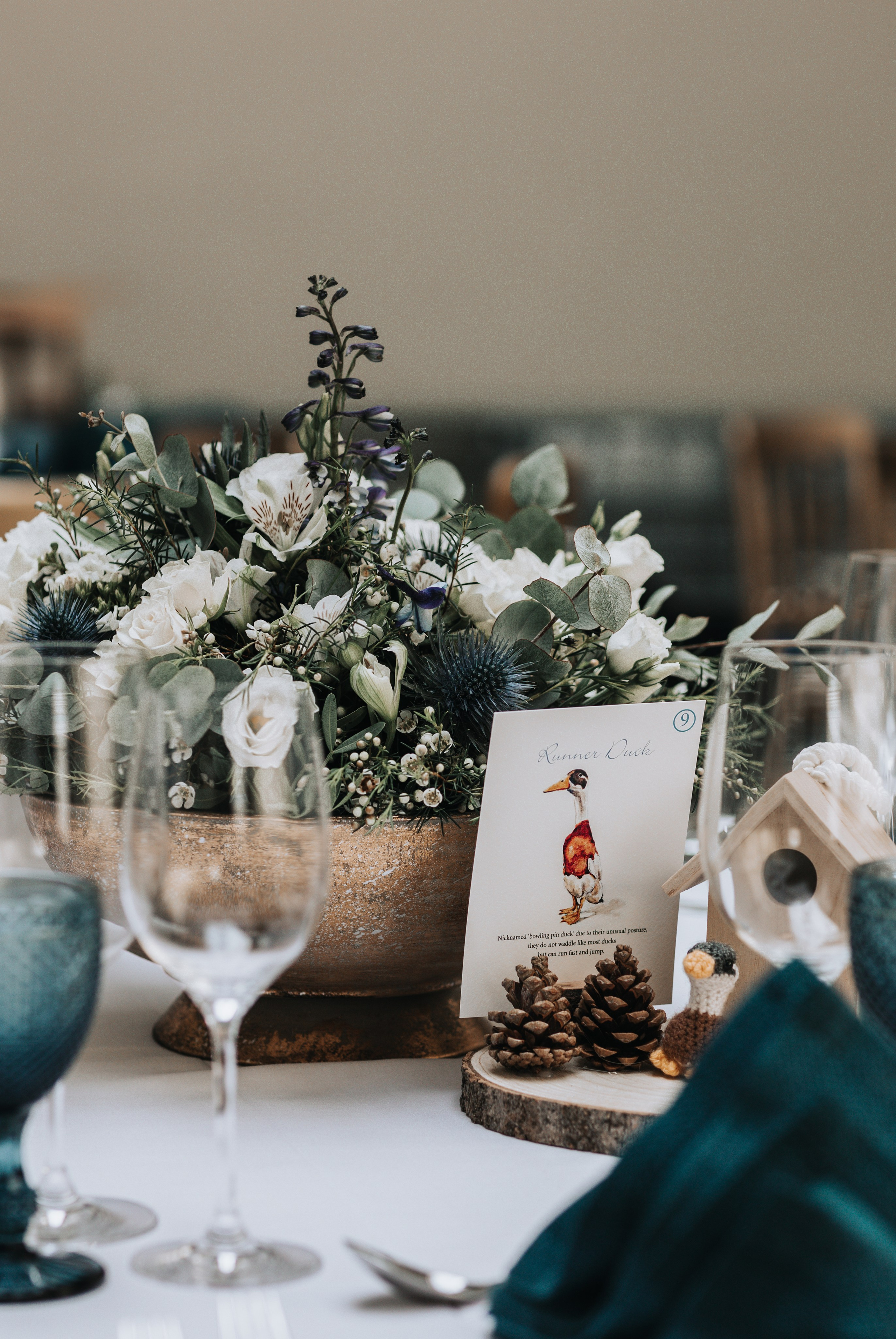 GEMMA + BIANCA. Main