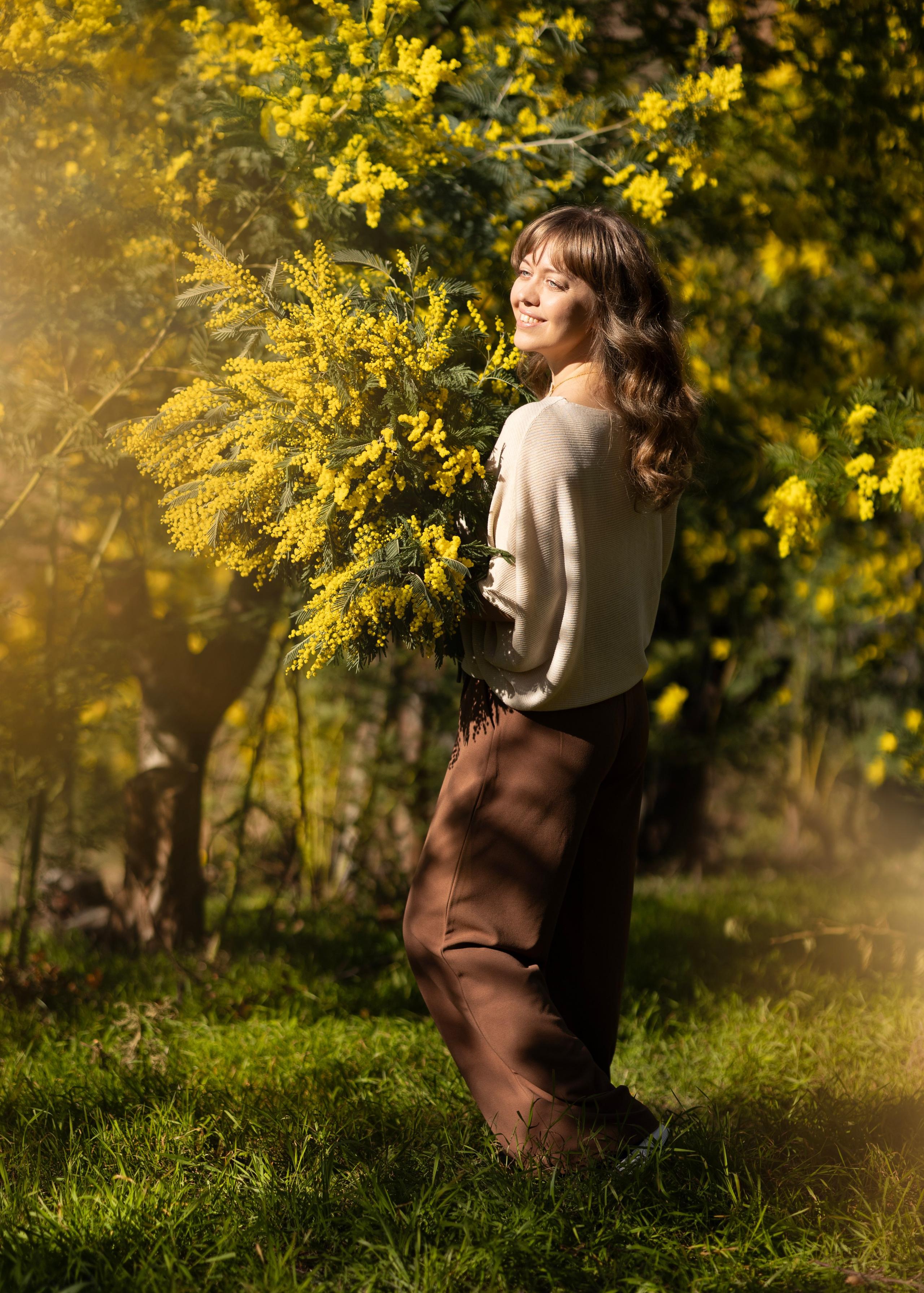 Mimosa. Photographer in Munich