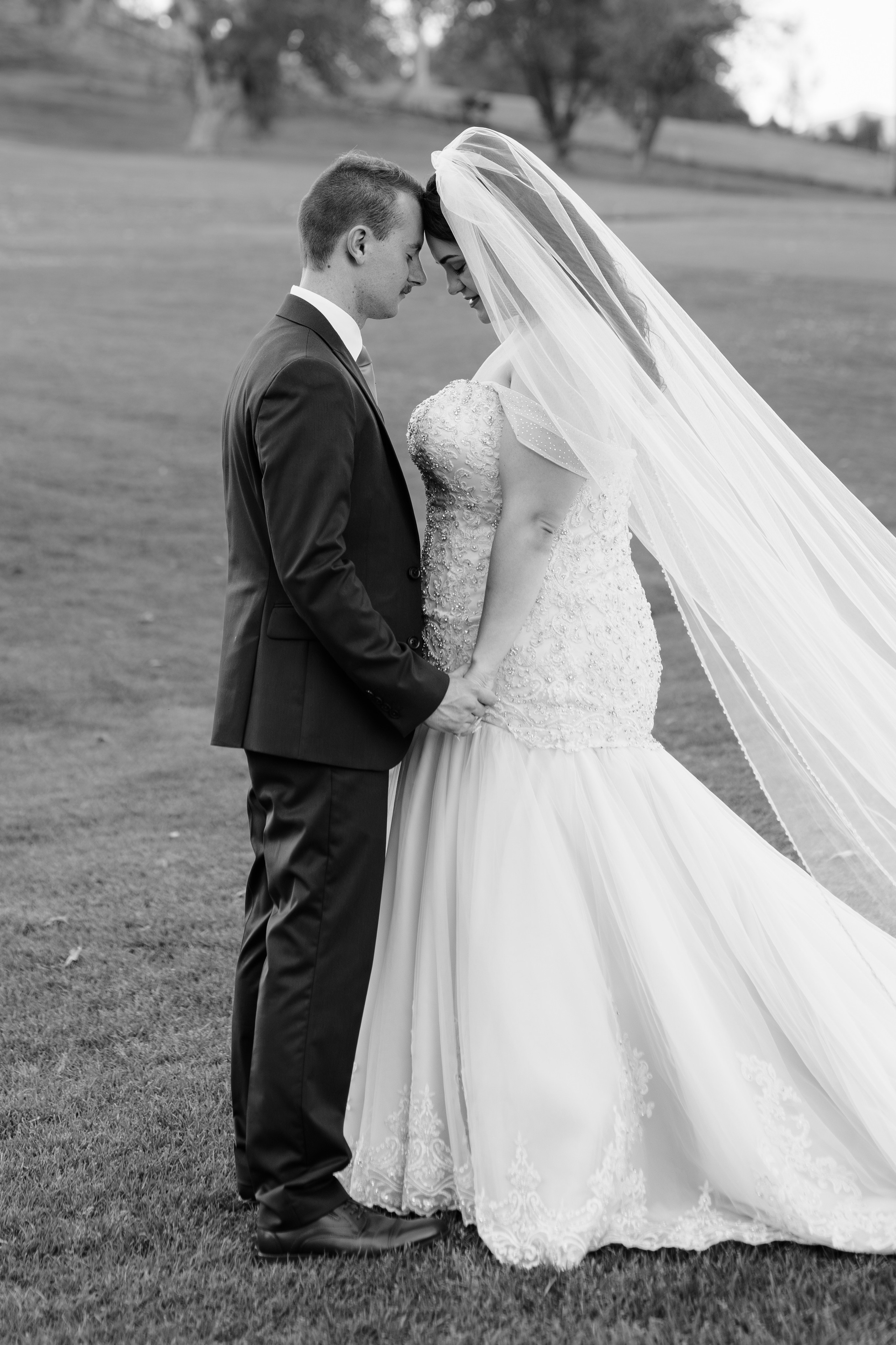 Ivan & Danielle. Babich_weddings