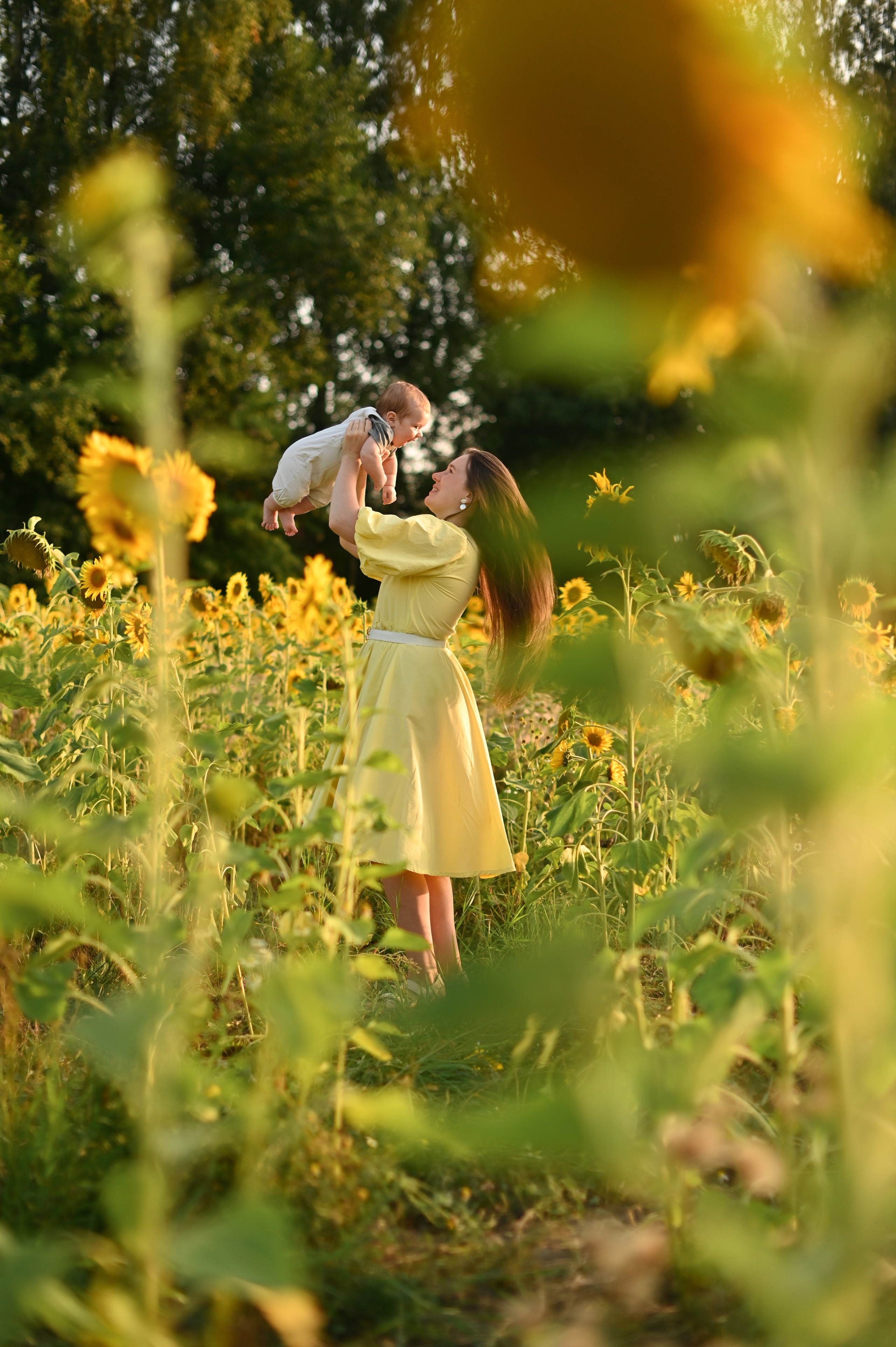 Подсолнухи. Детский и семейный фотограф в финляндии дина пулкка. контент фотограф