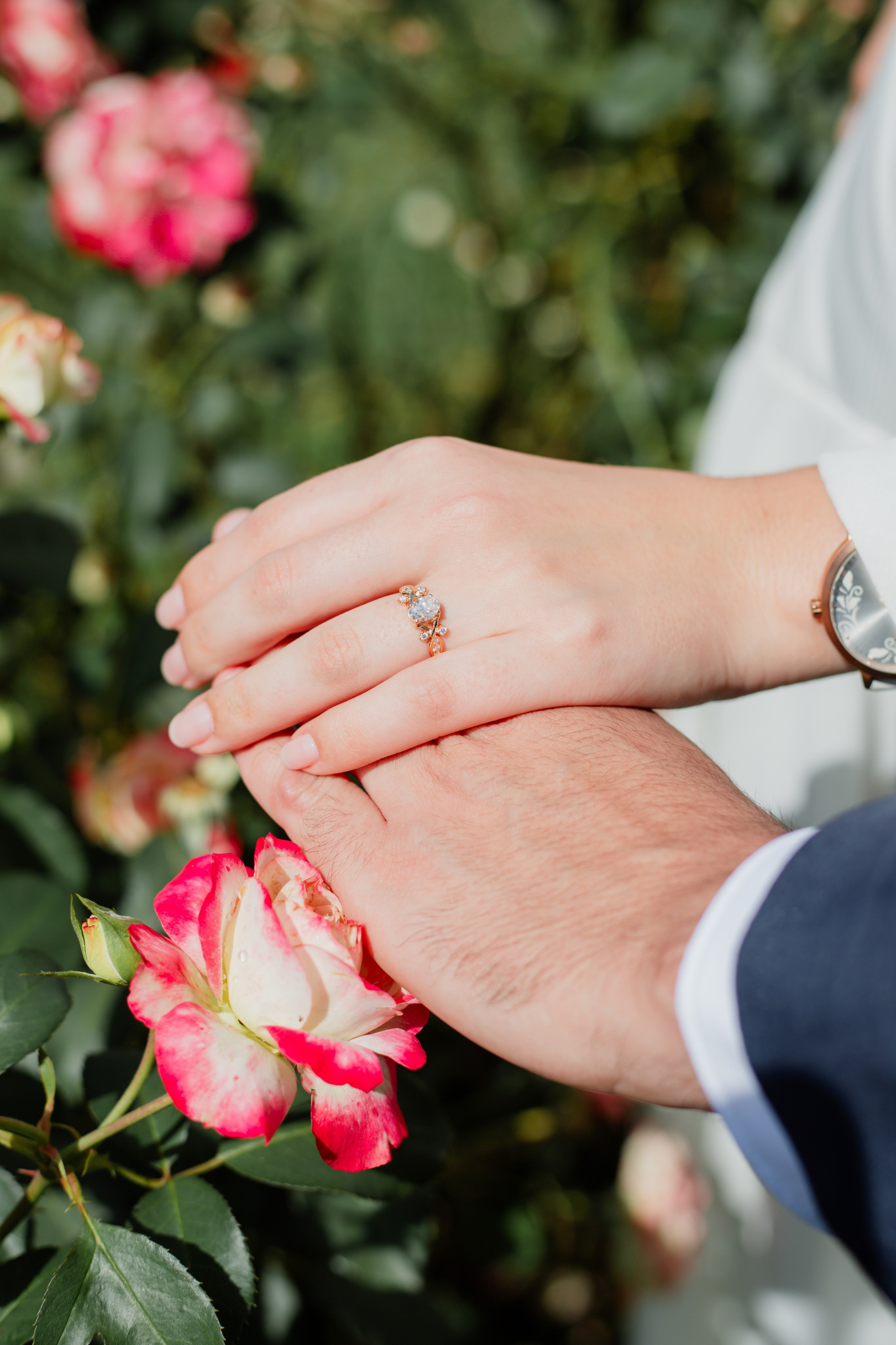 Pedido de Casamento /Bloemen Park. Joyce Maria Fotografia | Fotógrafa em Holambra