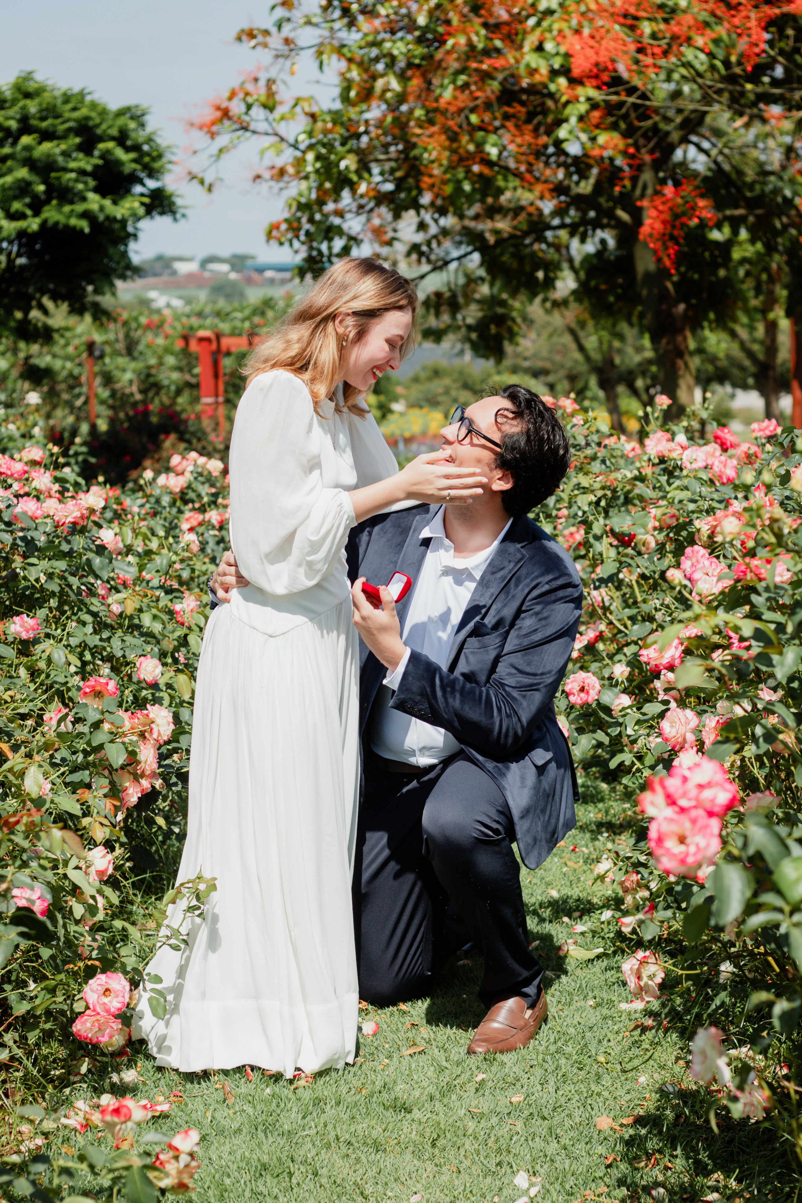 Pedido de Casamento /Bloemen Park. Joyce Maria Fotografia | Fotógrafa em Holambra
