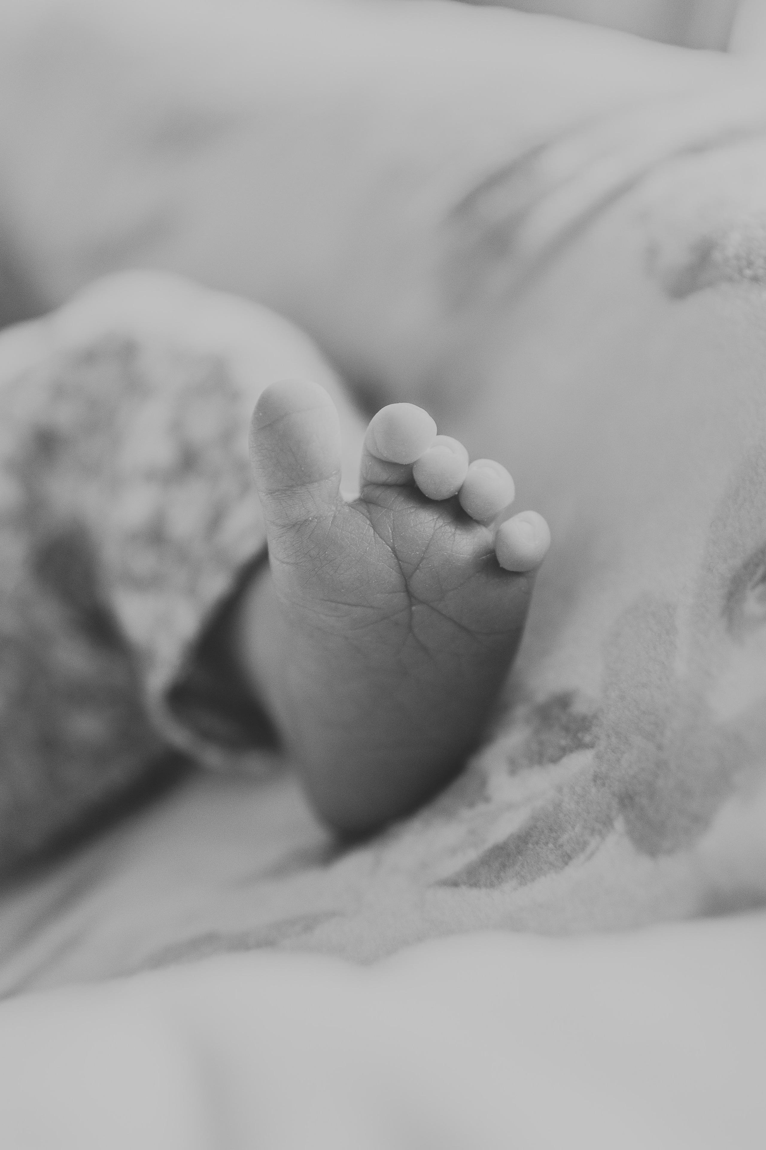 Newborn | In Home. Utah Family Photographer