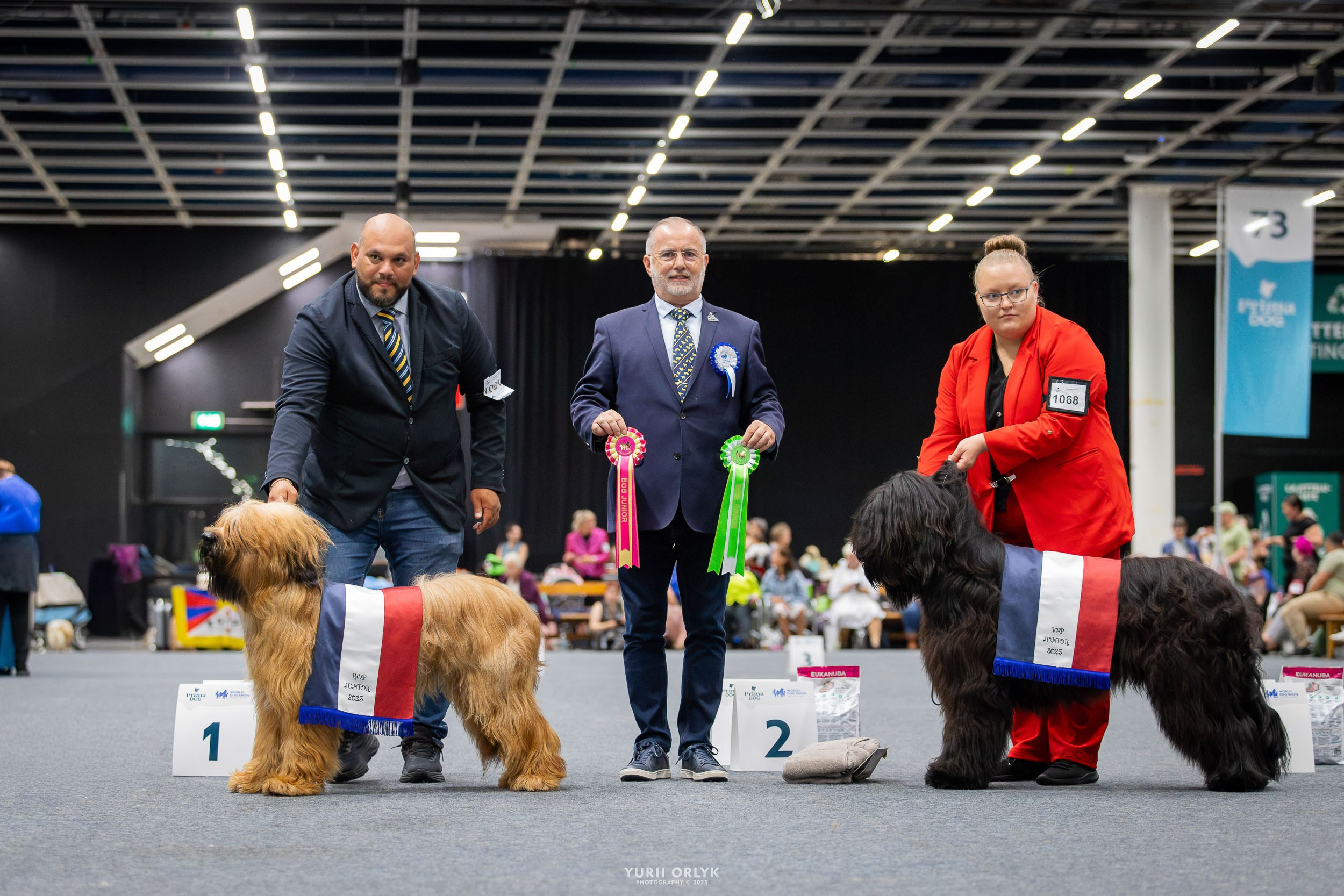 Dog Shows. Yurii Orlyk Photography
