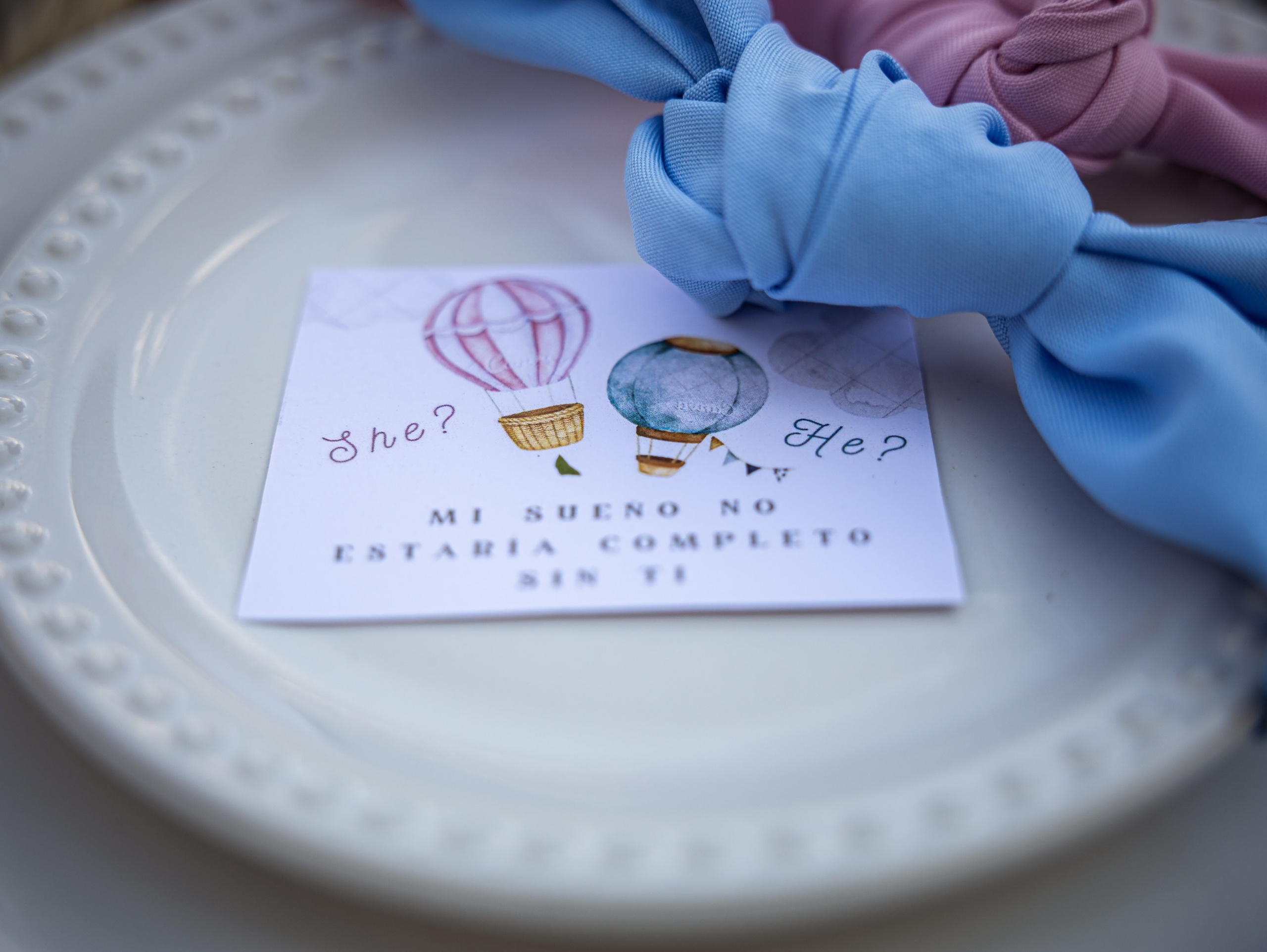 Фотосъёмка гендер. Лайфстайл и семейный фотограф в г. Писек Чехия Оксана Телупилова