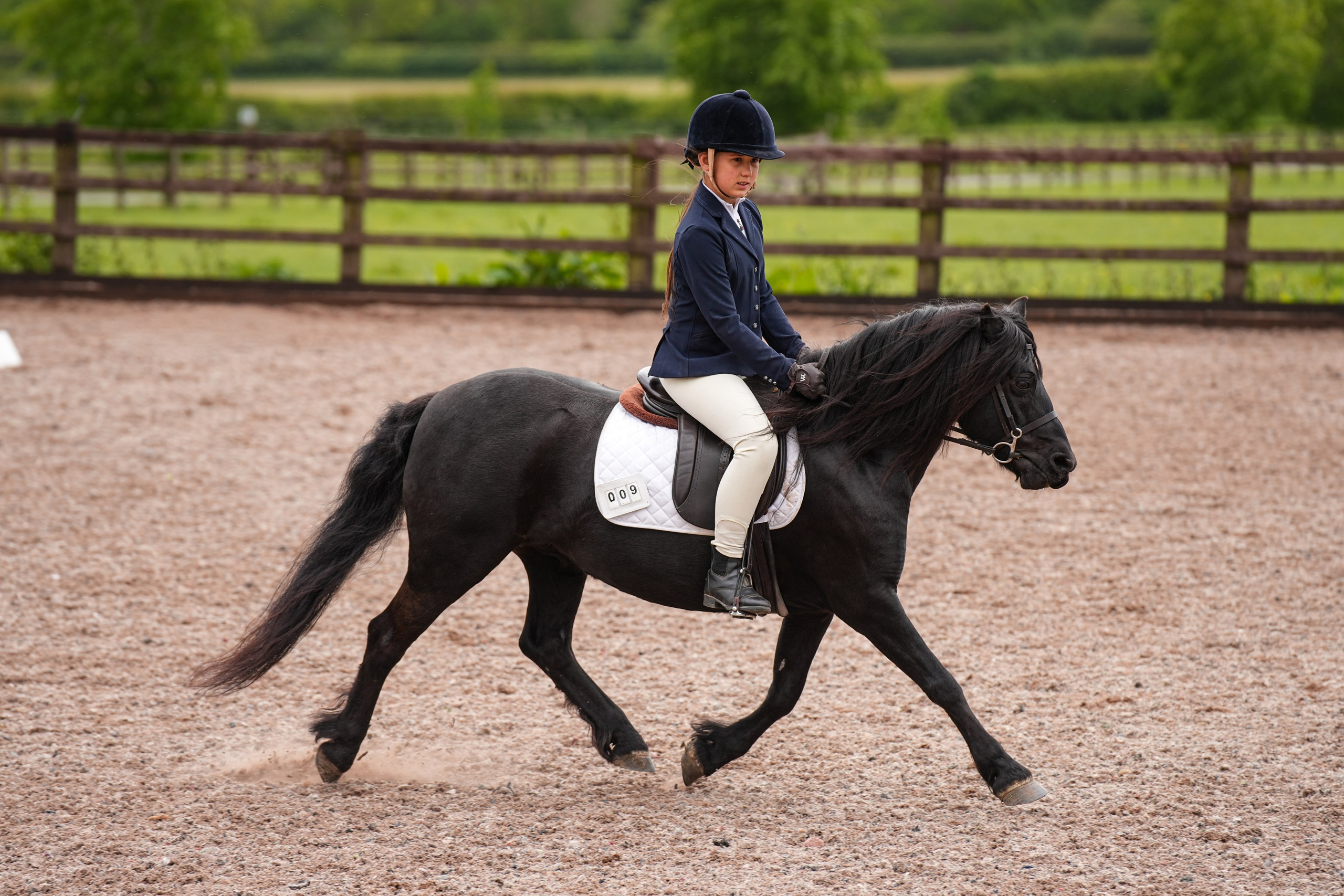 Dressage. Leicestershire Equine Photography by El | Authentic Equine Portraits & Events