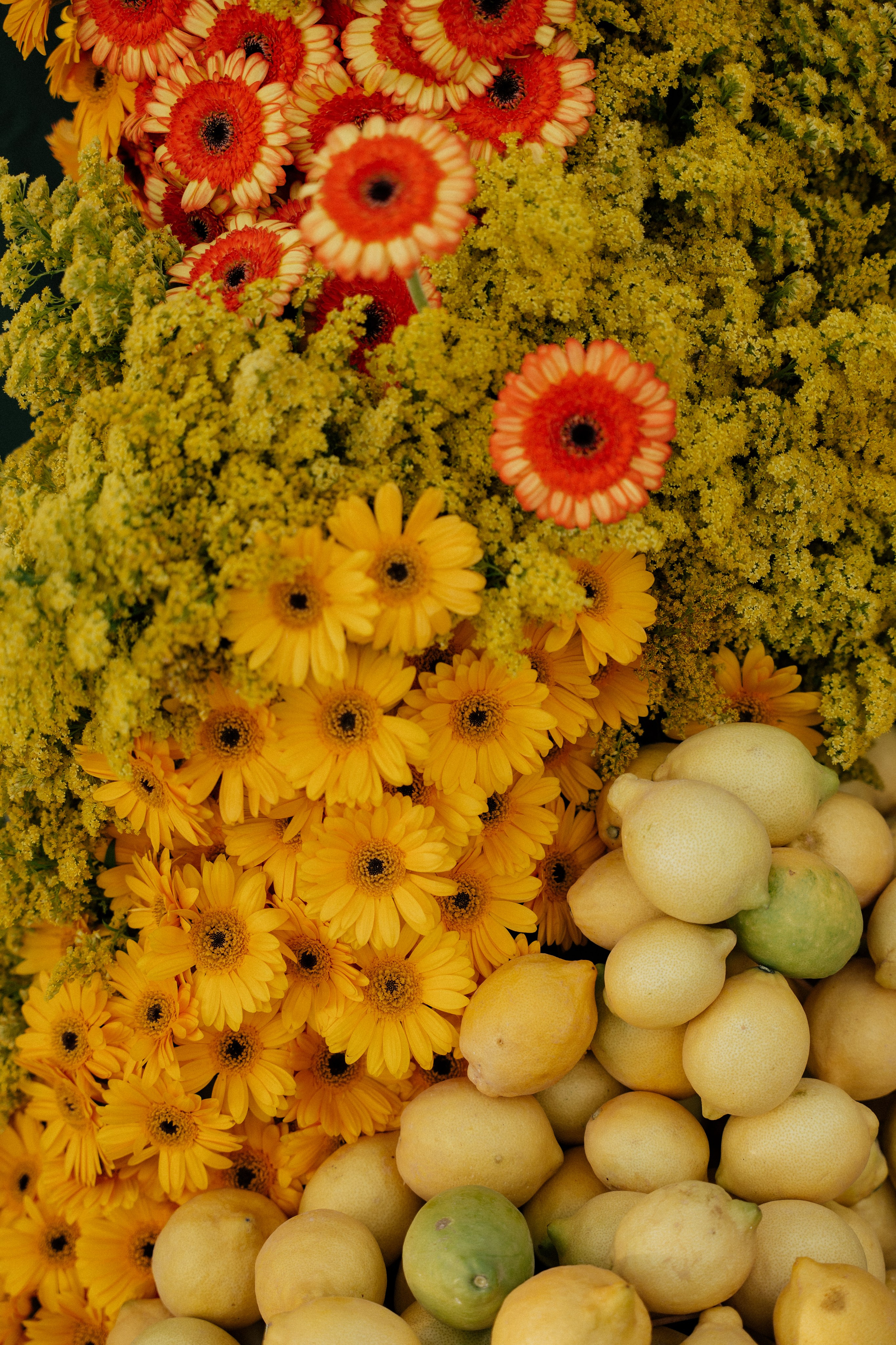 Gonzalo & Maria (Murcia)