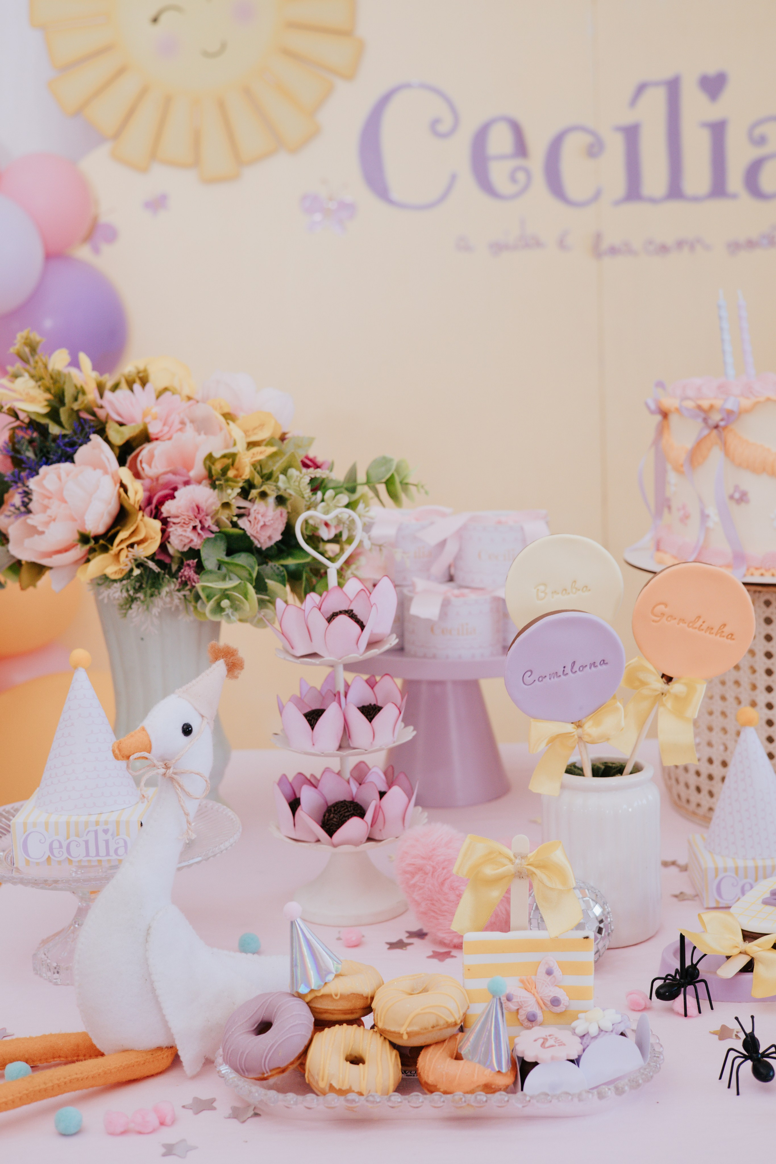 Cecília 2 anos. Fotografia de família e parto